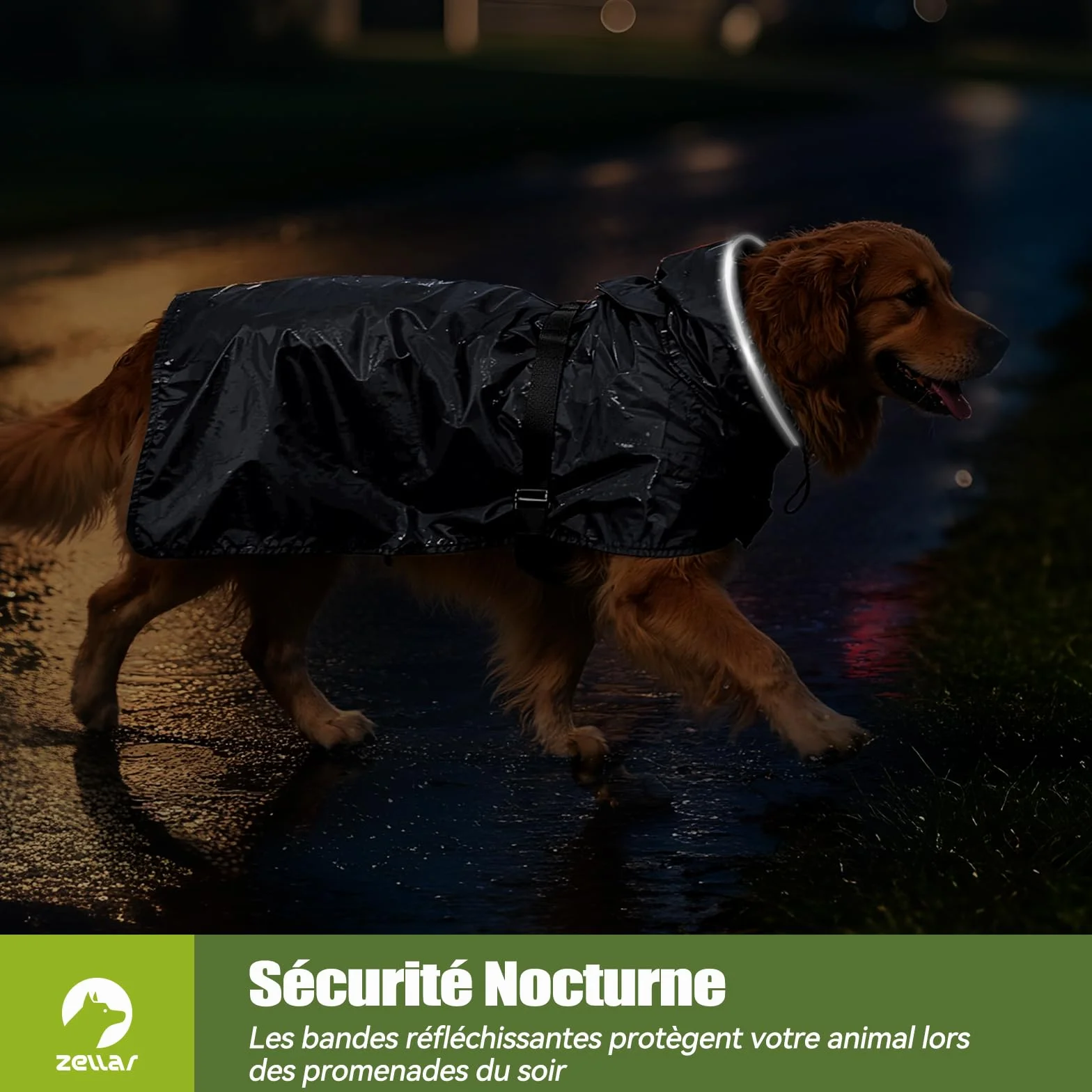 Manteau de Pluie Imperméable pour Chien Zellar, Adjustable et Léger avec Bande Réfléchissante & Passage pour la Laisse, Enfilage Facile, Manteau Chien Imperméable pour Chiens Moyens et Grands, M Gris