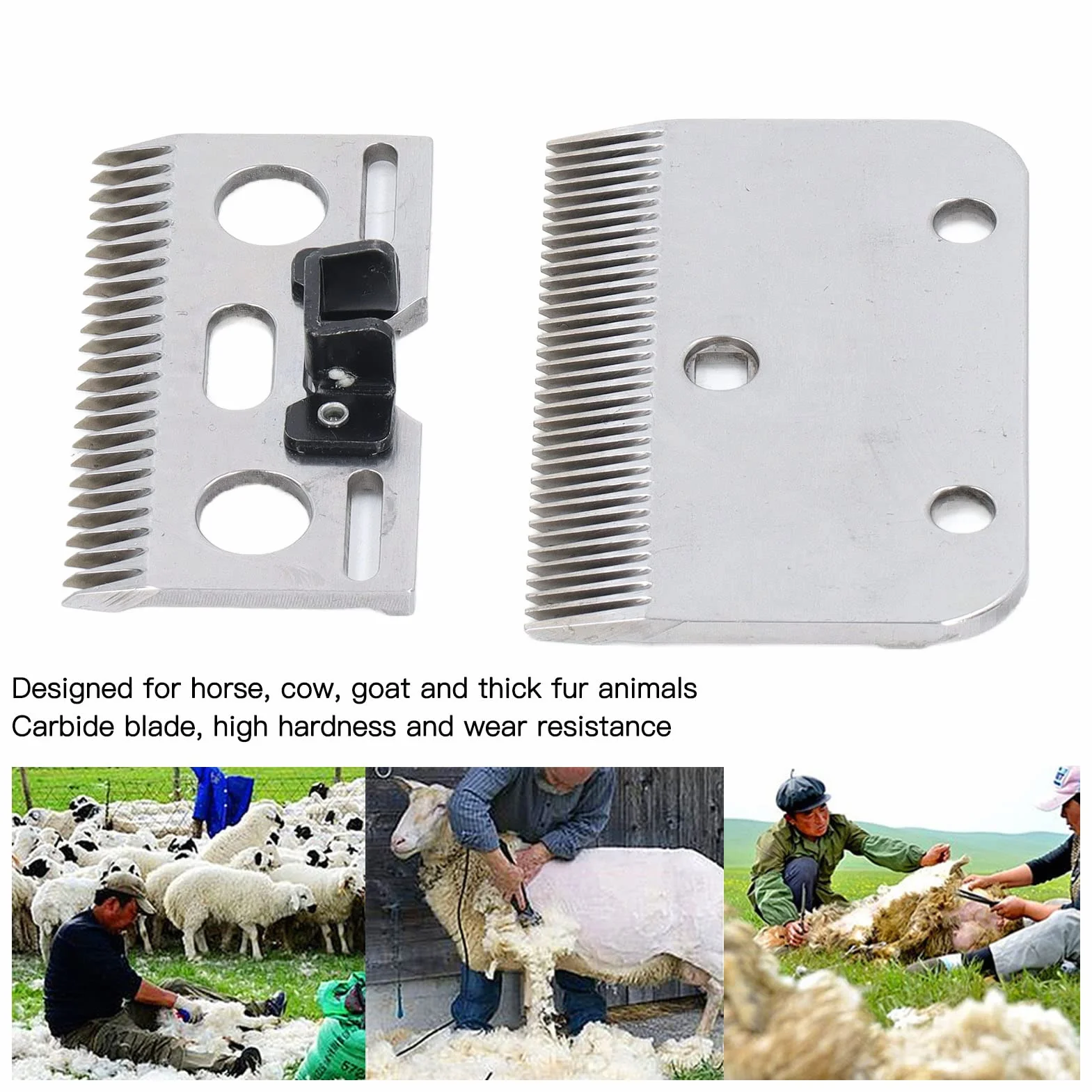 Lames de rechange carbure 35 dents pour ciseaux à chevaux tondeuse professionnelle