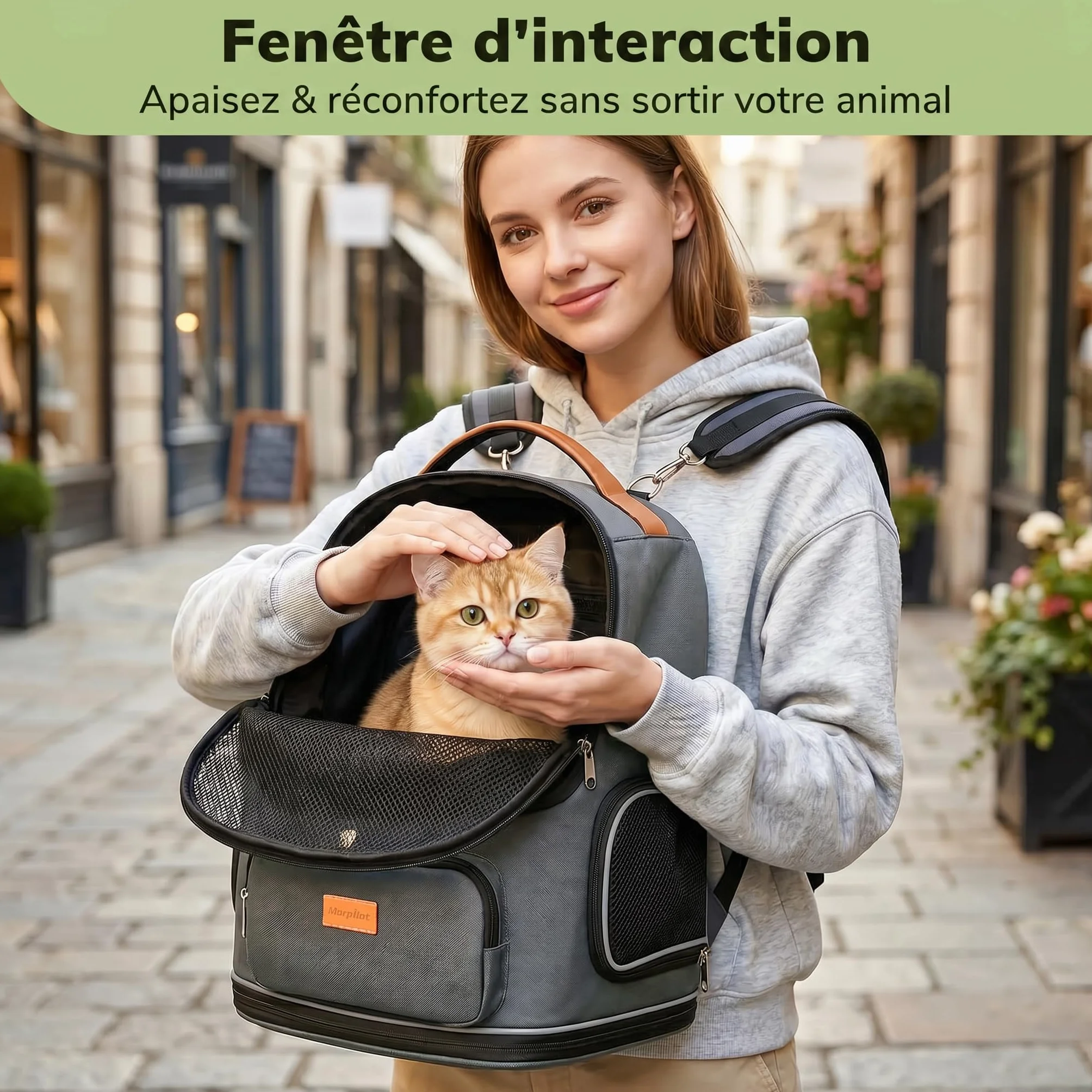 Morpilot Sac Transport 102% Extensible pour Chien avec Peluche Amovible Et Laisse De Sécurité Intérieure Sac à Dos Pliable pour Chat pour Train/Voiture/Voyage