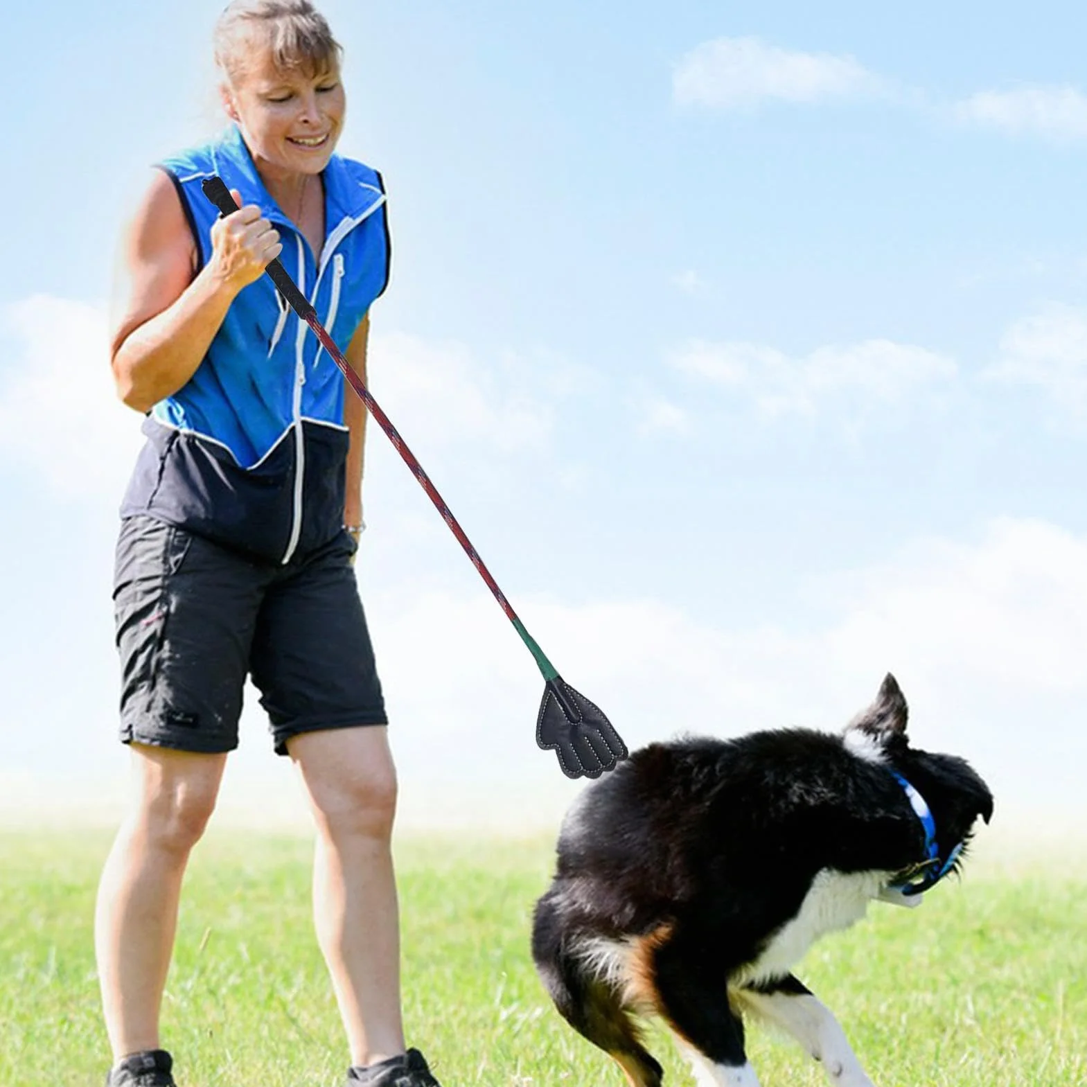 Bâton de dressage pour chien 45 cm 63 cm portable