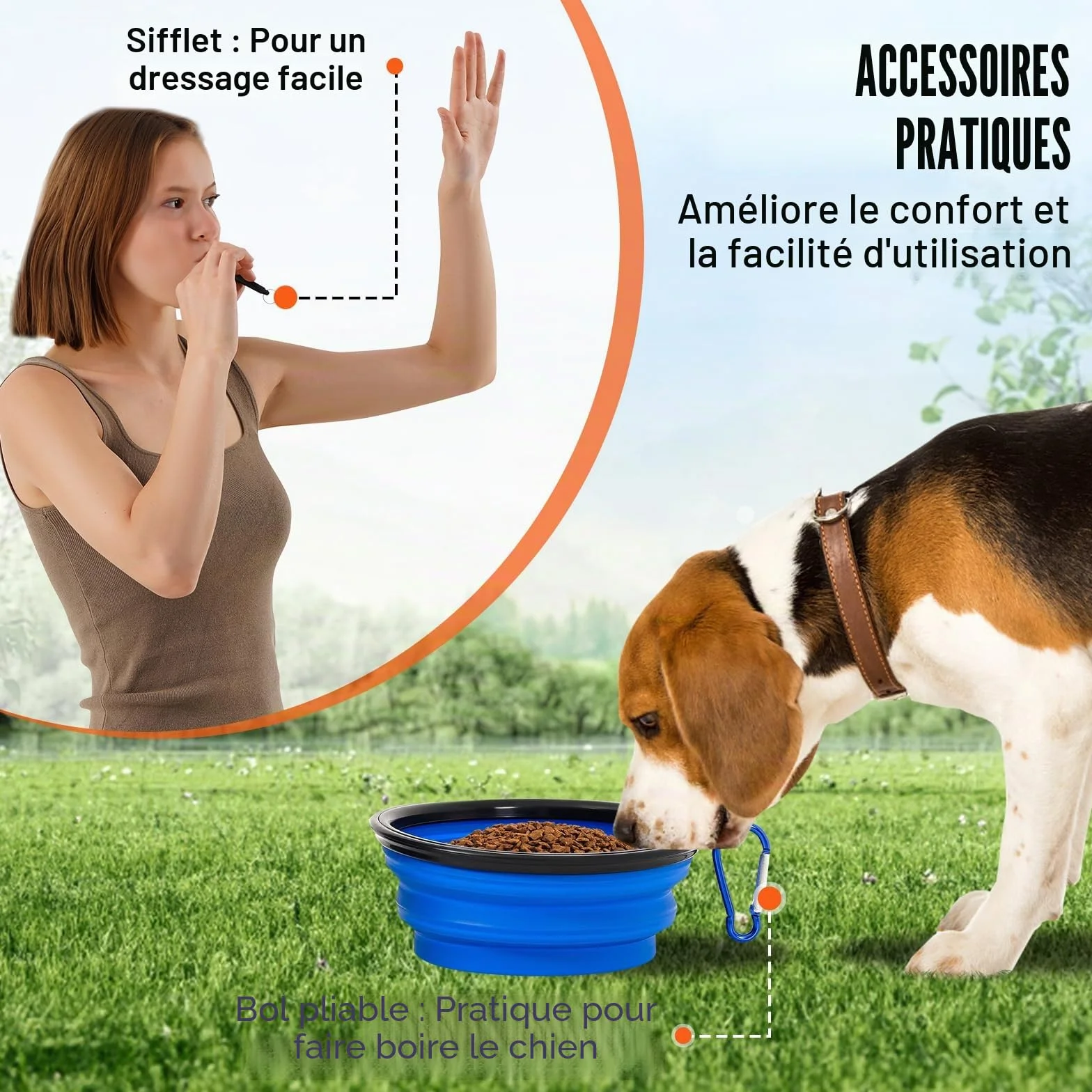 VEVOR Équipements d'Entraînement Agilité pour Chien, Ensemble 4PCS, Parcours Obstacles avec Haies Réglables