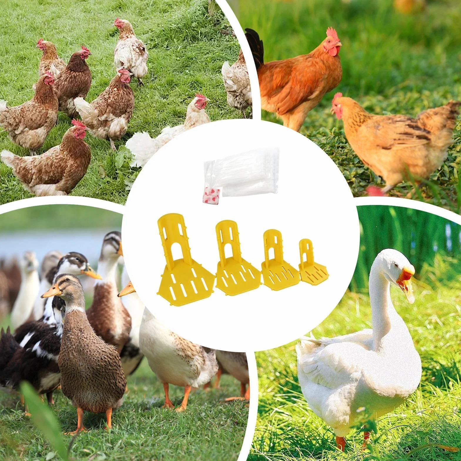 Ensemble d'attelles de jambe de volaille – Orthèse confortable réutilisable en ABS pour pattes de poulet et canard