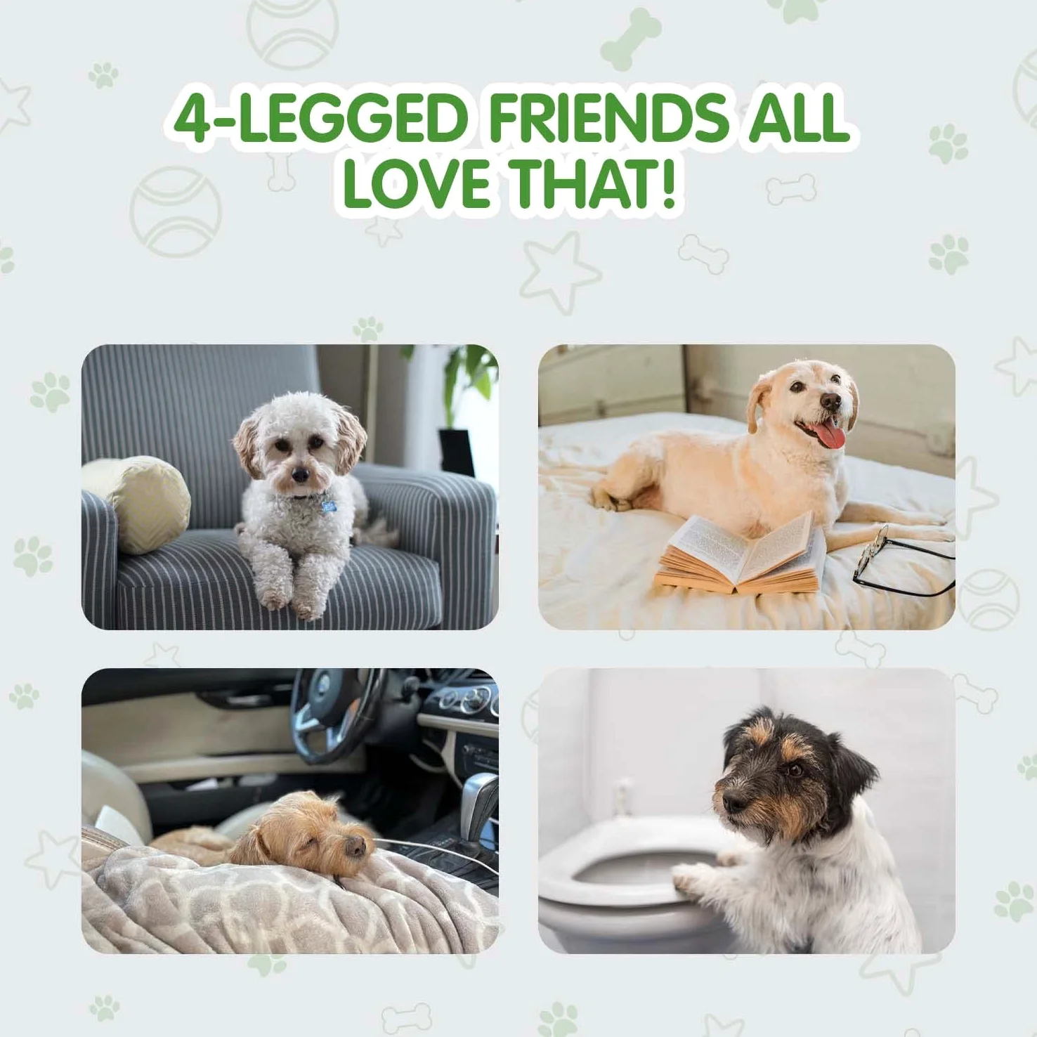 COCOYO Tapis de dressage en bambou respectueux de l'environnement | Tapis de dressage respectueux de l'environnement pour tous les chiens | 100 tapis de dressage super absorbants pour chiots