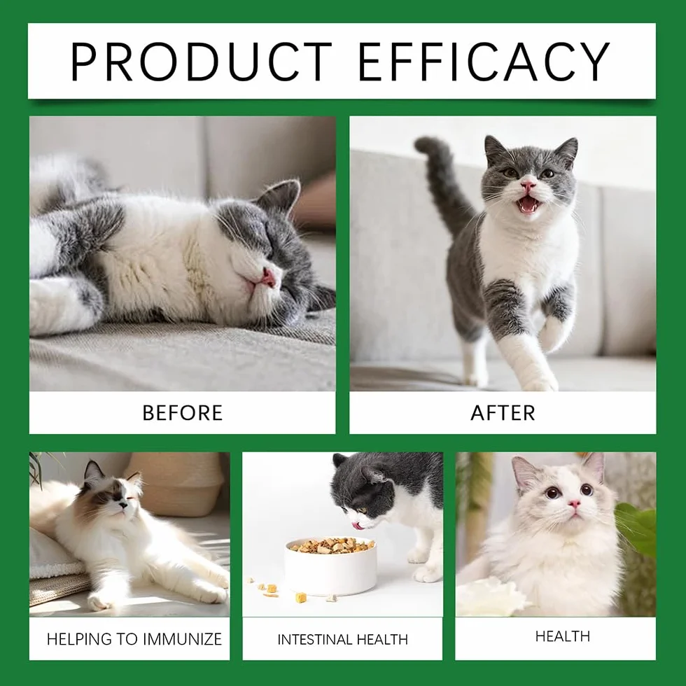 Fengyang Gouttes Probiotiques pour Chats, Constipation Reltf, Soulagement Doux, Digestion Saine