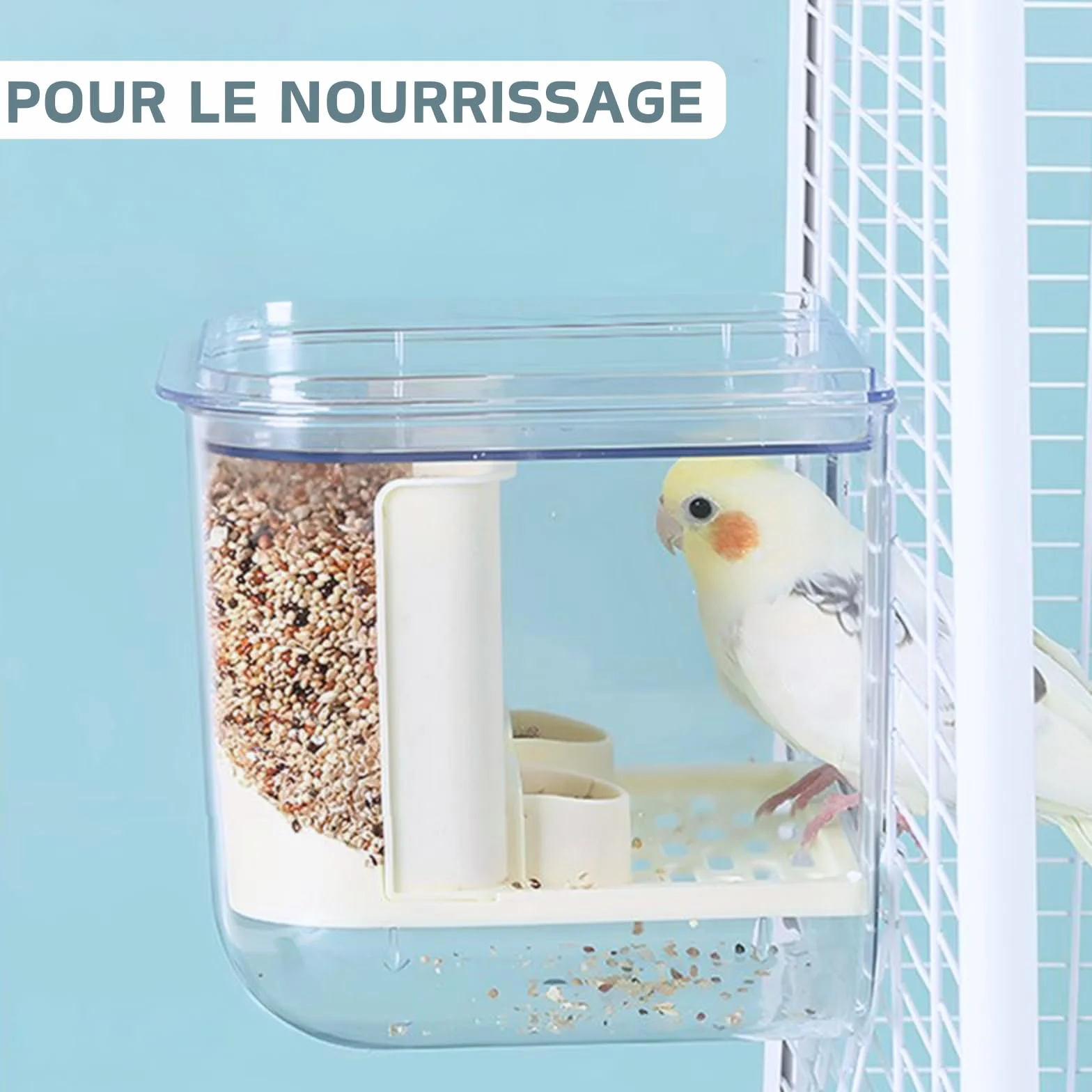 Bain d'oiseaux suspendu pour cage petite et moyenne taille perroquets inséparables pinsons perruches