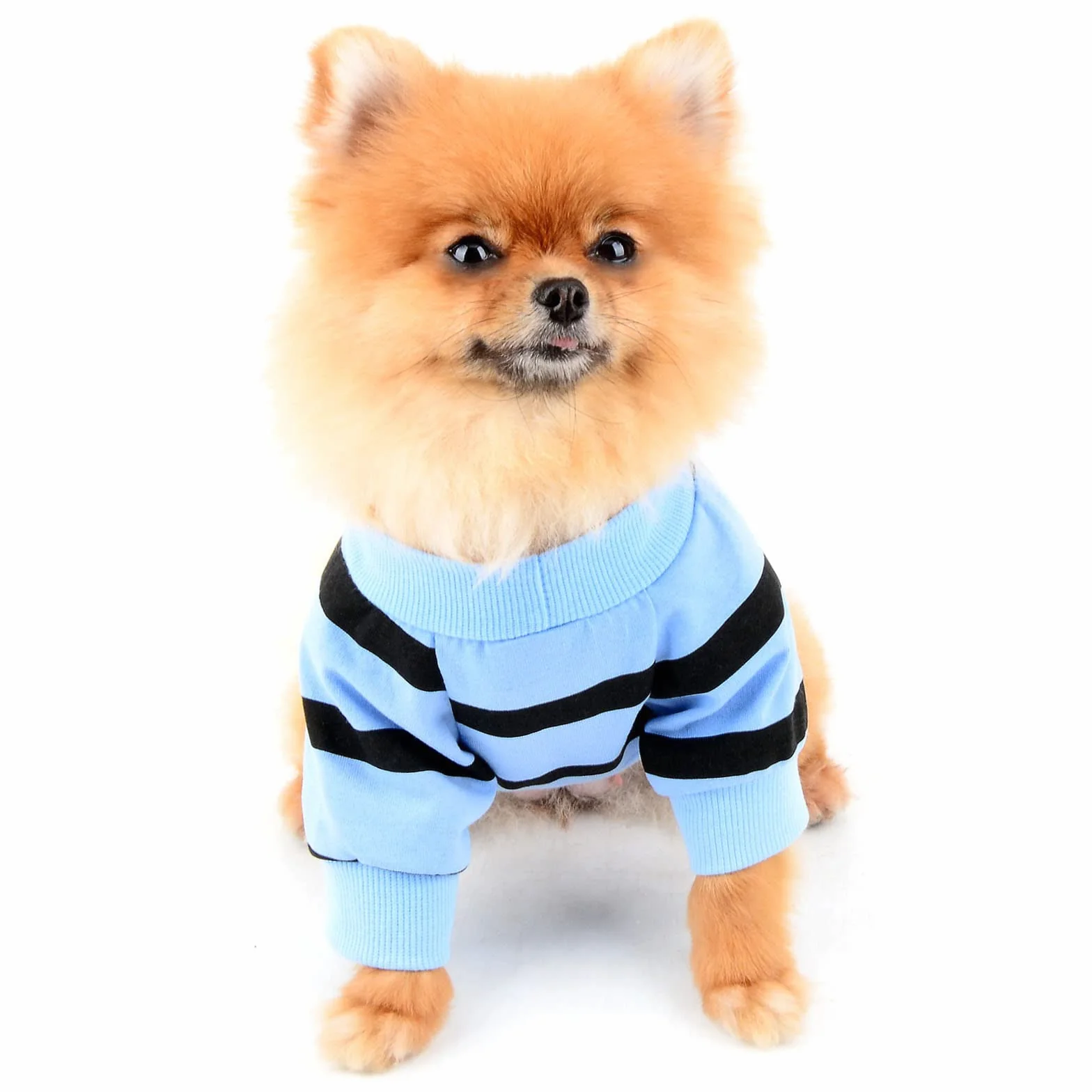 Chemises à Rayures pour Chiens de Petite Taille Gilet avec Cœur Rouge t-Shirts Animal de Compagnie Bleu M