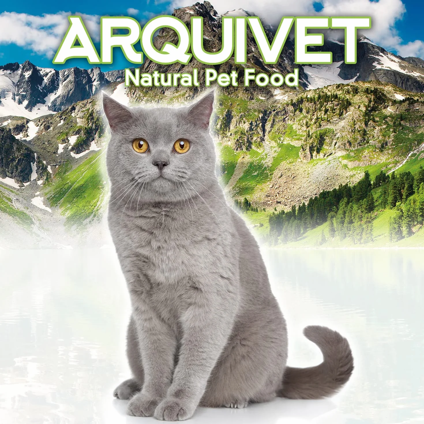 ARQUIVET Pack 24 unités Thon blanc et anchois en sauce 80g Aliments humides pour chats