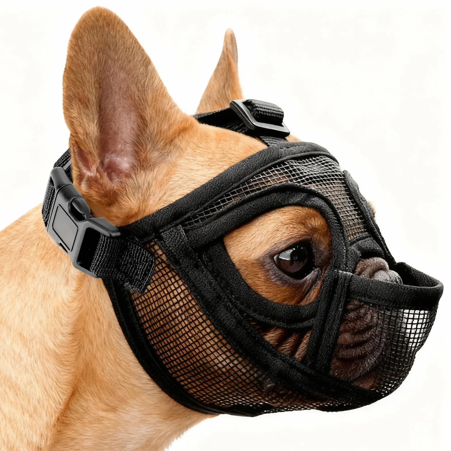 Museliere Bouledogue Francais, Réglable Muselière Chien Respirant Masque Plate Museliere Petit Chiens Court Anti Morsure Mastication Léchage pour Shih Tzu Et Carlin (M)