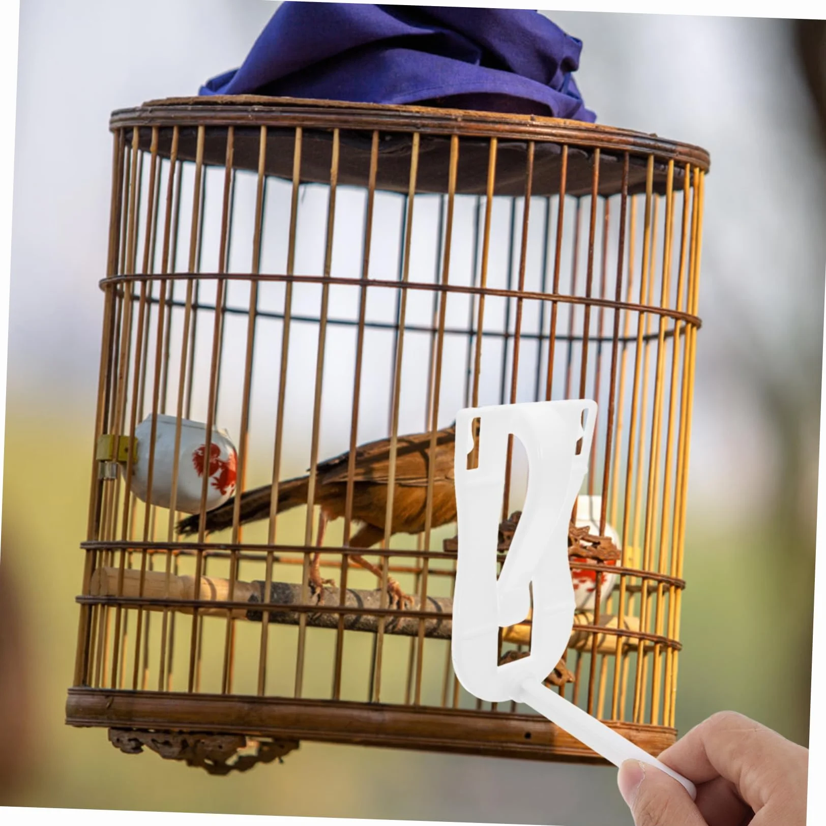 BESPORTBLE Support Os Seiche Abs pour Cage à Oiseaux Pince Alimentaire Polyvalente Légumes Friandises Accessoire Perruches Canaris Cockatiels Finches