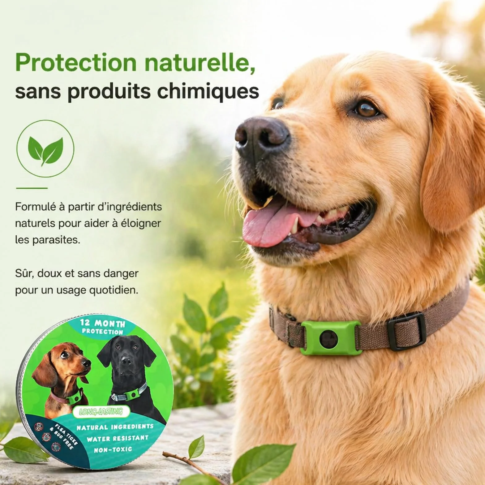 Pendentif Everly Chien - Nouveau Pendentif antiparasitaire Naturel pour Animaux 2026, Médaille de Collier Longue durée pour Une Protection Quotidienne, conçu pour Le Confort des promenades (Green)