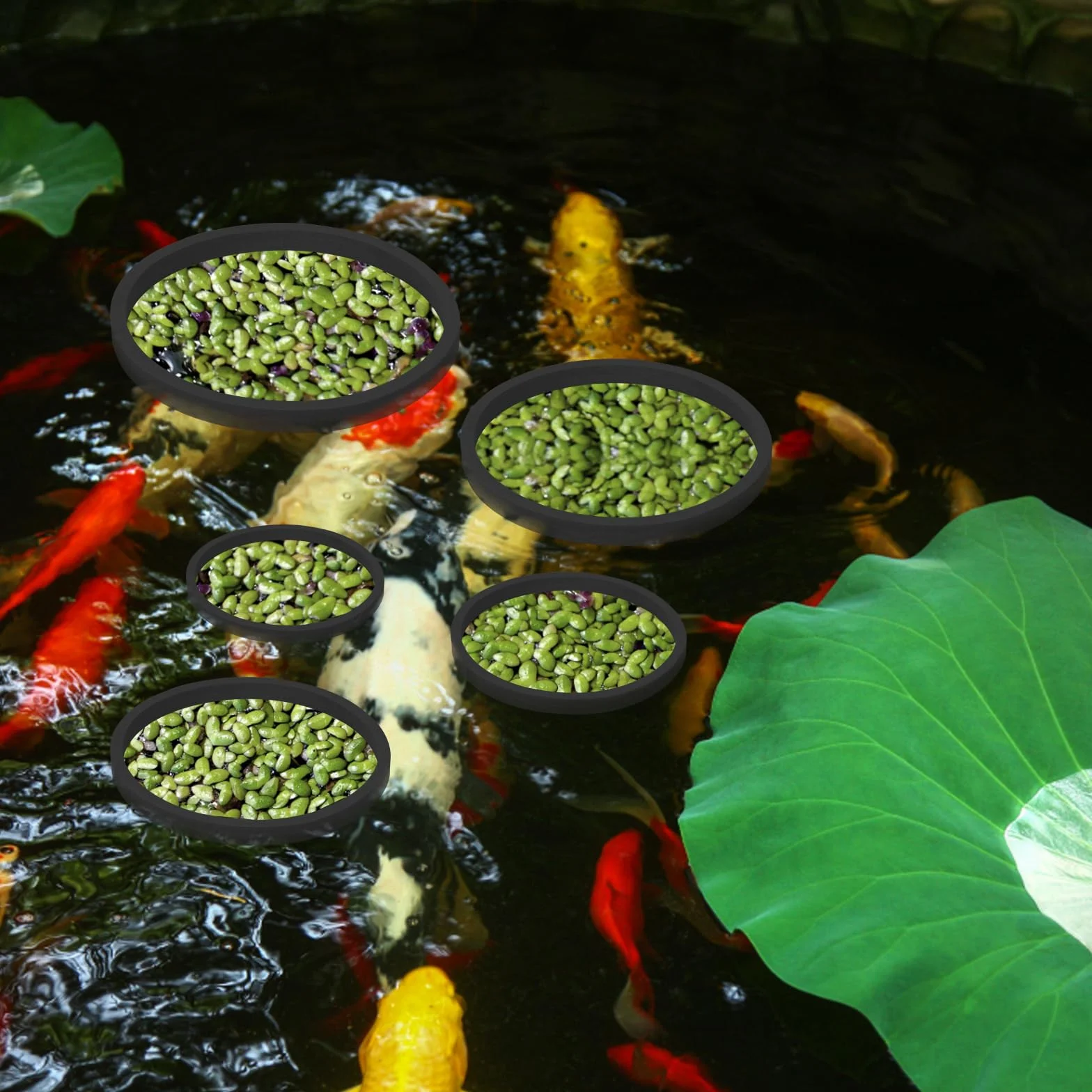 PEUTIER 5 Pièces Anneaux Flottantes Aquarium Mousse Anneau Alimentation Poisson Noir