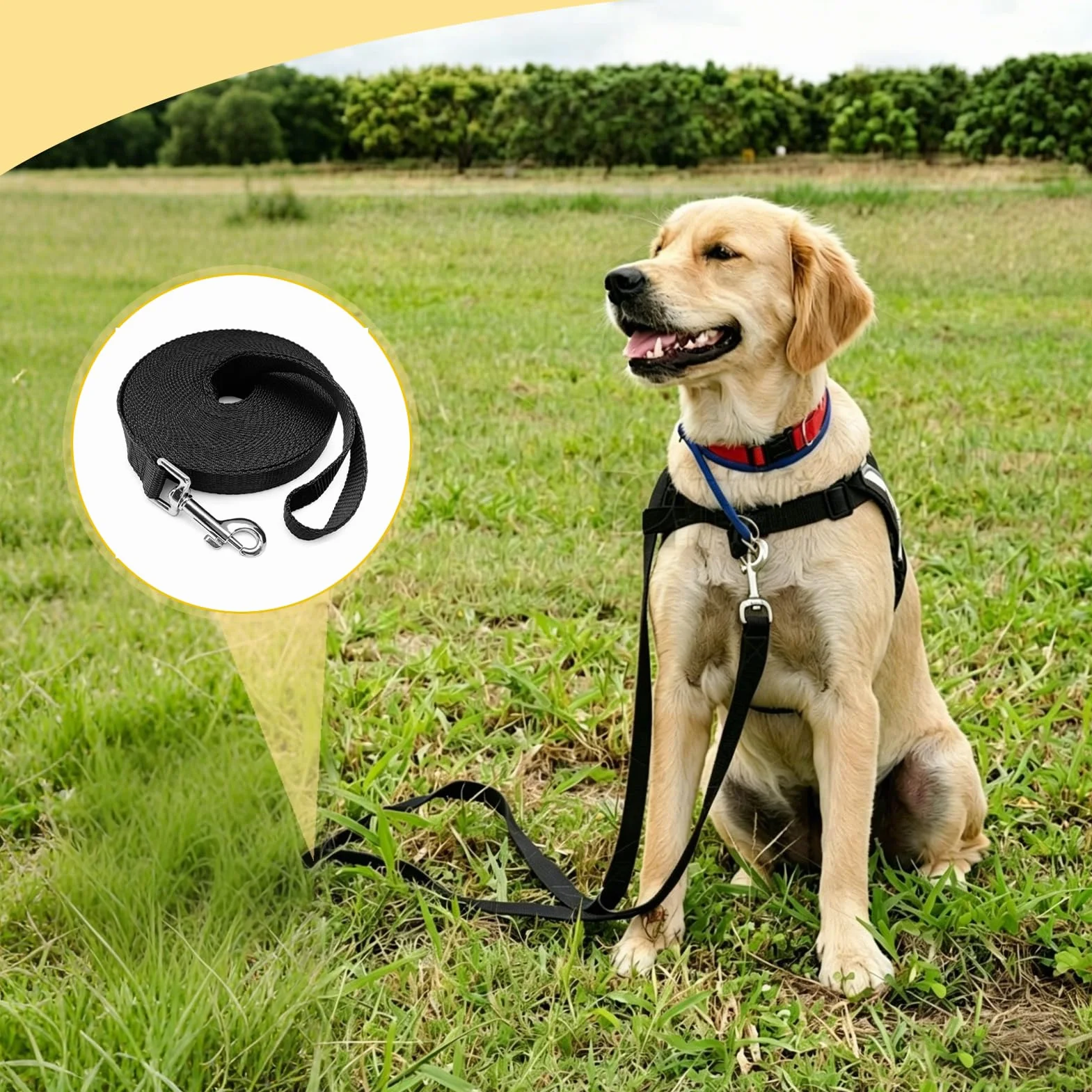 Longe pour Chien 5m, Laisse pour Chien, Laisse Imperméable avec Dragonne Et Mousqueton À 360°, pour L'entraînement pour Chiens De Petite, Moyenne Et Grande Taille (Noir)