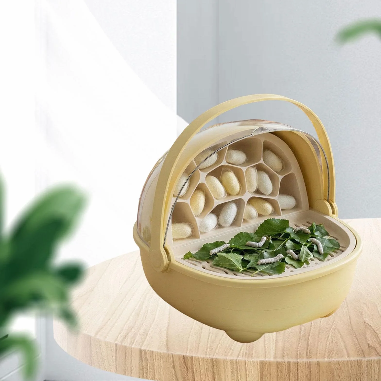 F Fityle Boîte d'élevage pour vers à soie, Cage d'incubation pour geckos, Jaune