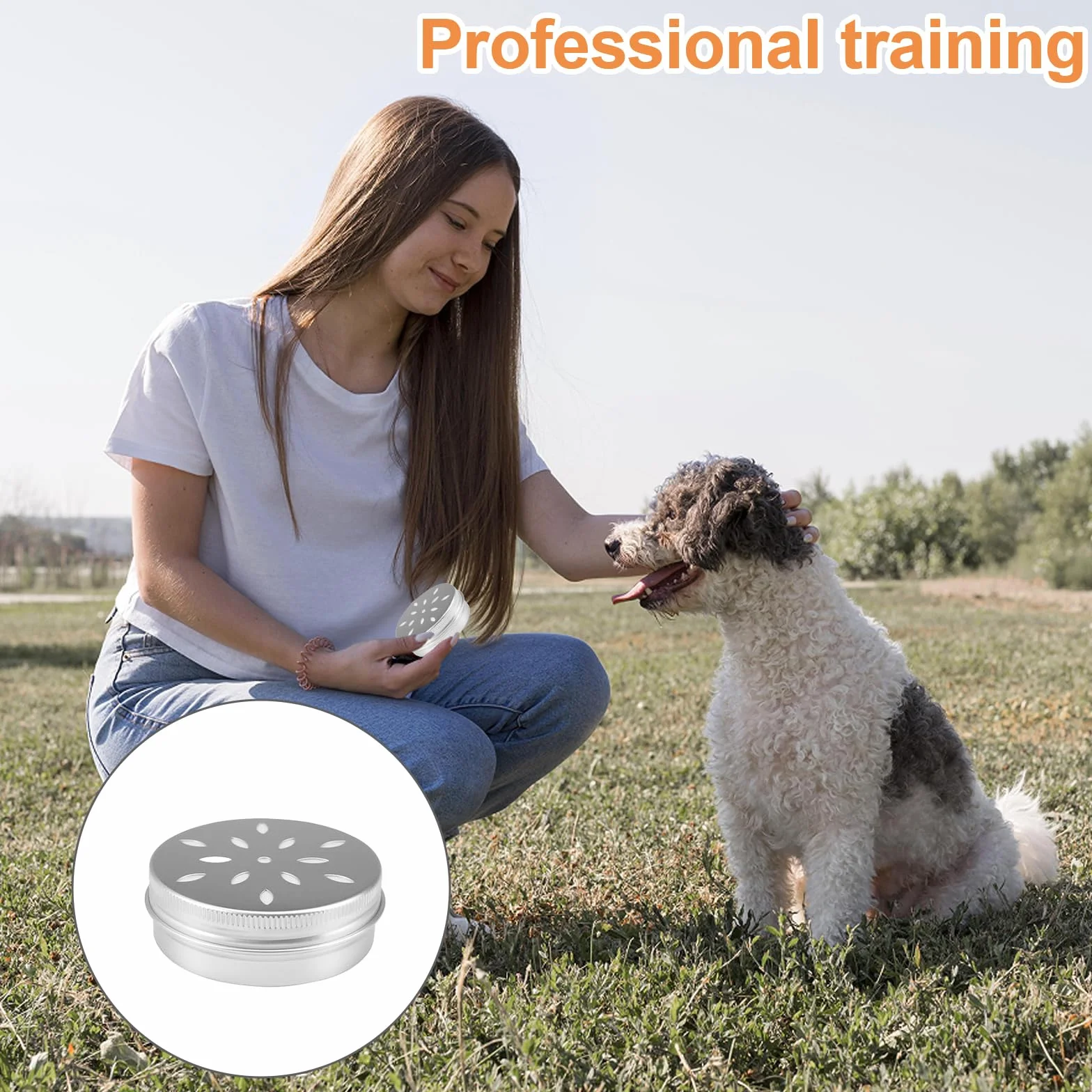 Lot de 12 boîtes métal rondes avec trous d'aération pour entraînement du parfum chien