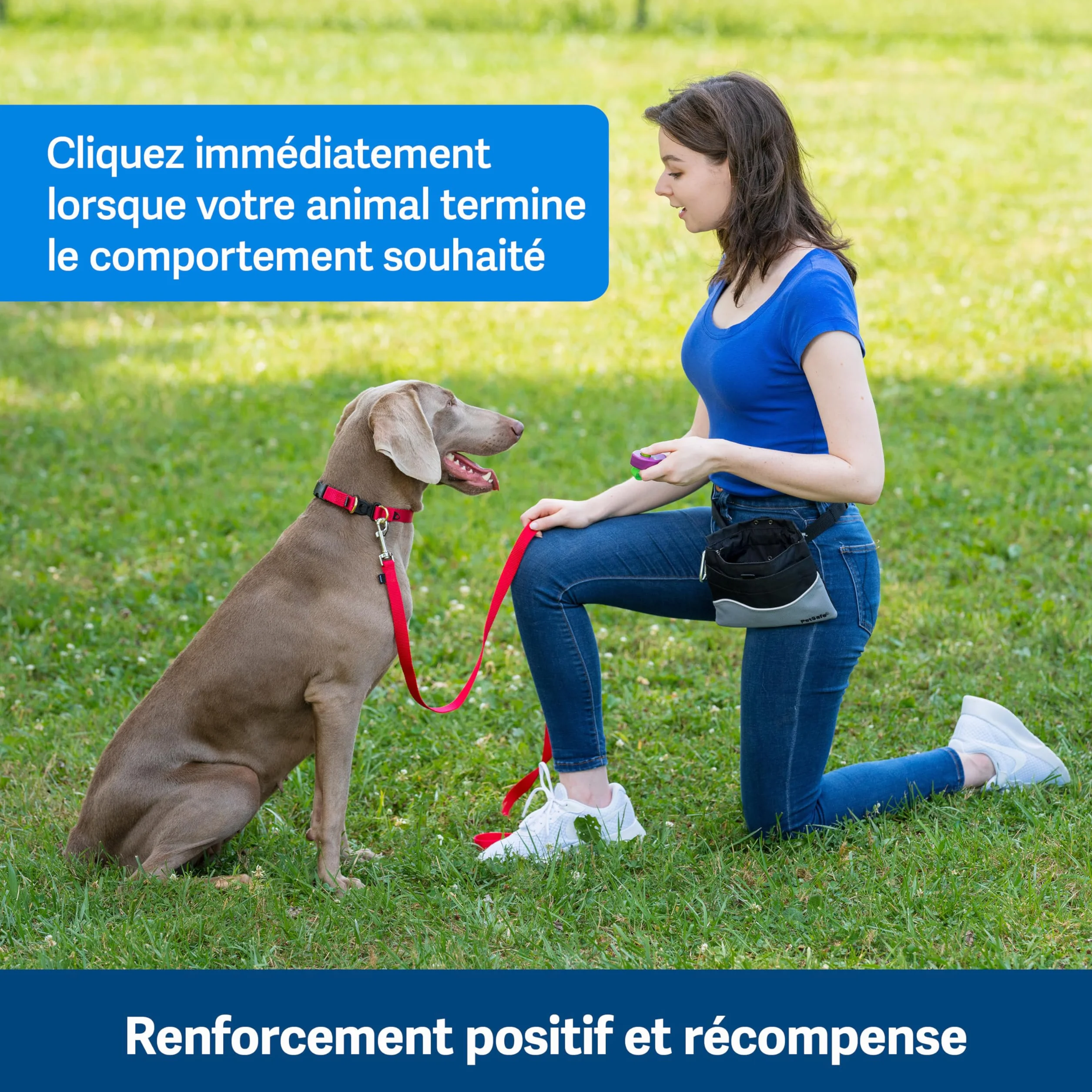 PetSafe Clik-R Clicker d'entraînement pour Chiens - Renforce Le comportement Positif - Utilisation pour récompenser et entraîner