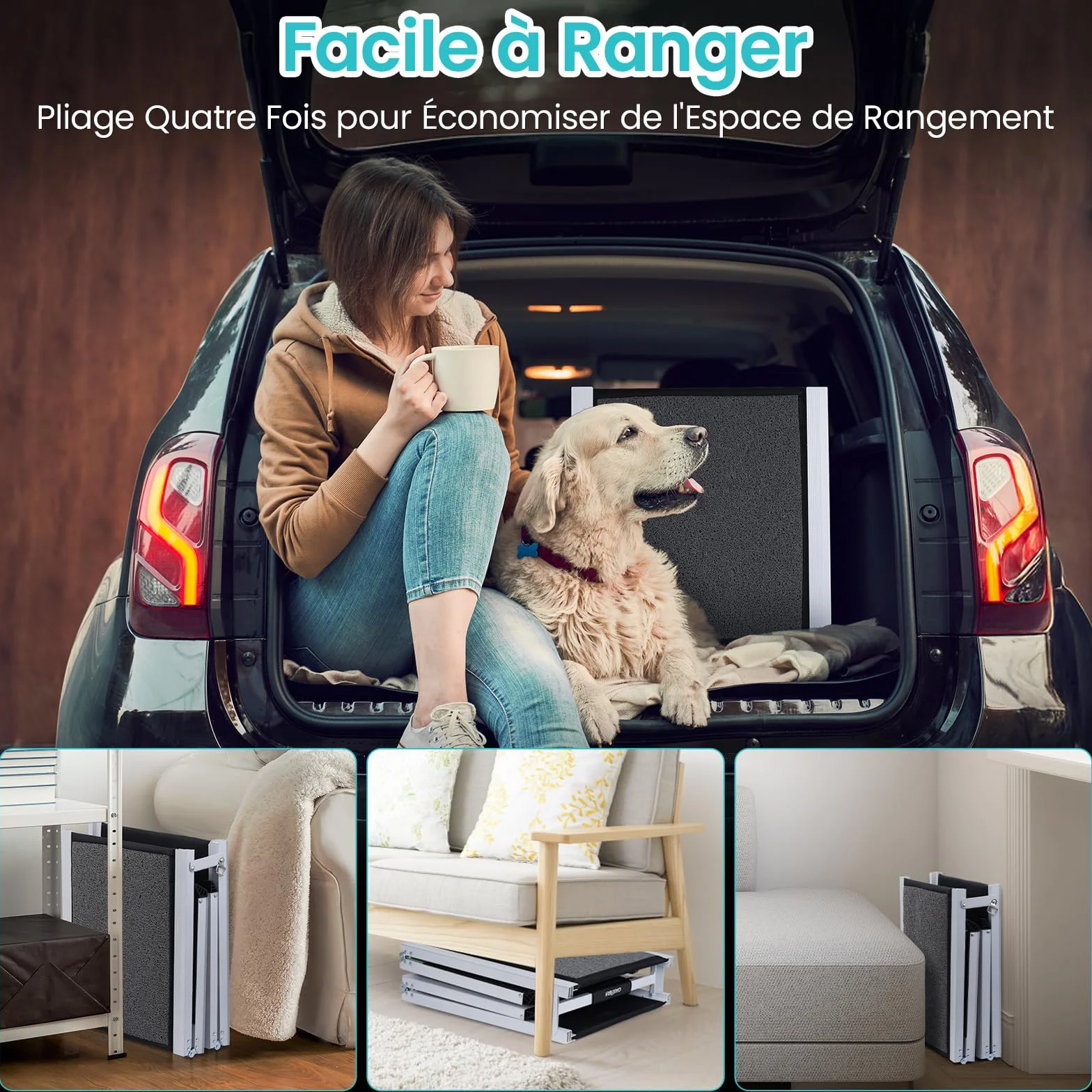DAISTERN de BSWAY Rampe pour Chien Voiture Pliable 180cm x 50cm, Rampe d'Accès Escalier Extérieur avec Tapis Antidérapant, Cadre en Métal Aluminium Revêtu de Poudre Capacité de Charge jusqu'à 129KG