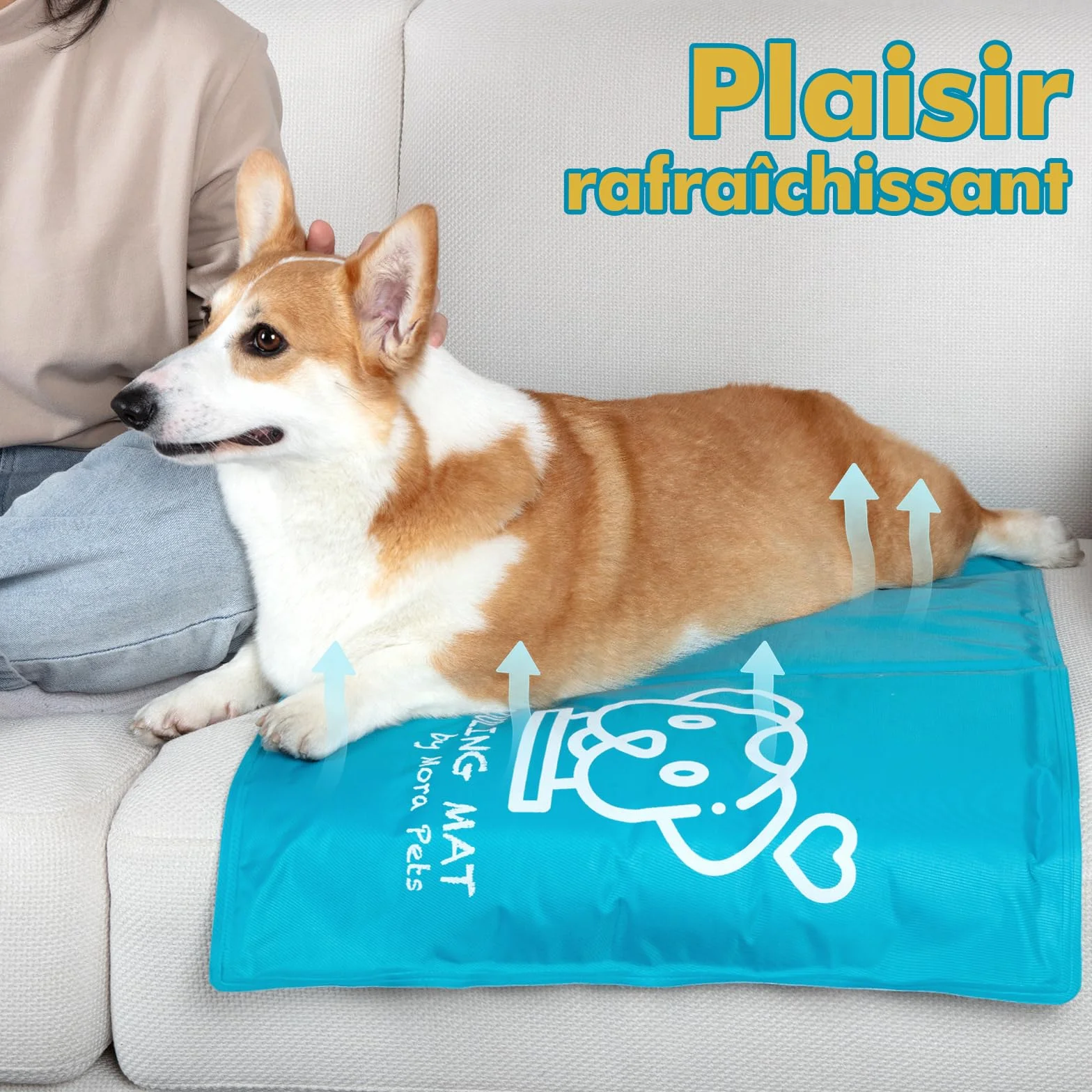 Tapis Rafraîchissant pour Chats et Chiens Gel Non Toxique 65 x 50 cm Bleu Matelas Refroidissant Étanche