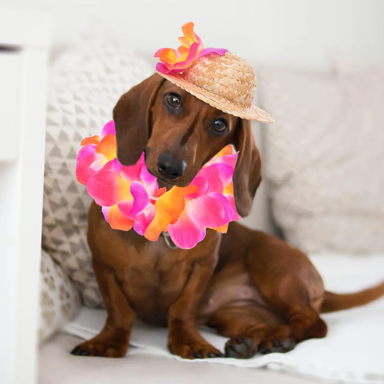 Costume Hawaïen pour Chien avec Chapeau De Paille Et Guirlande Accessoires pour Animaux