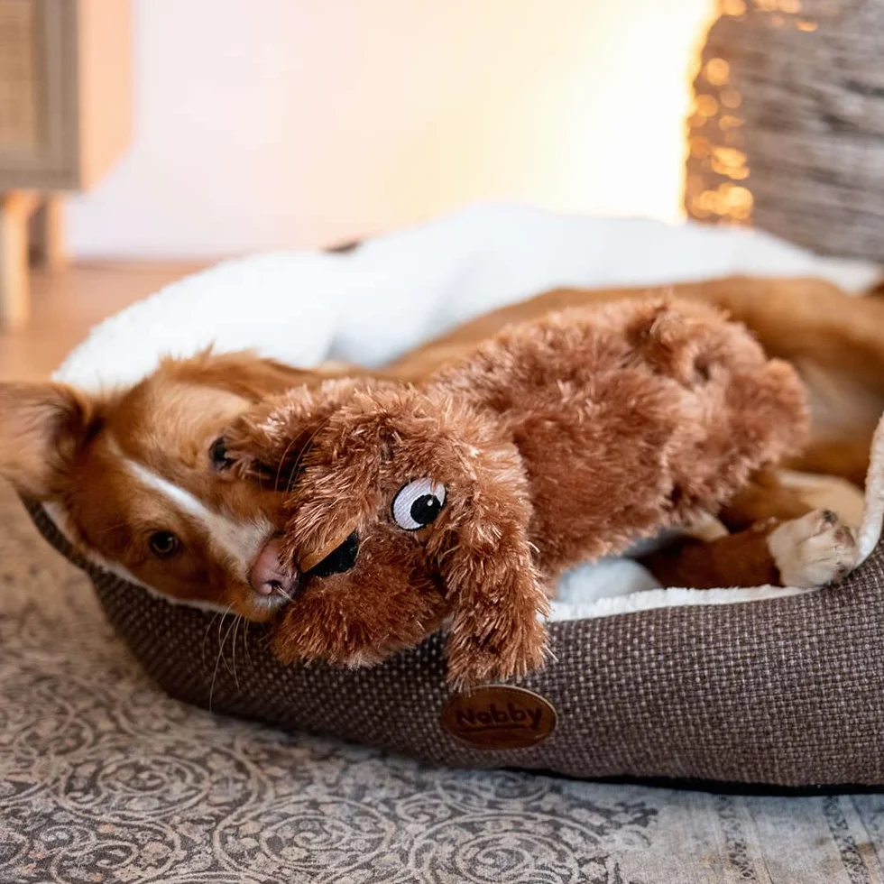 Nobby Schlappi Jouet en Peluche pour Chien 27 cm