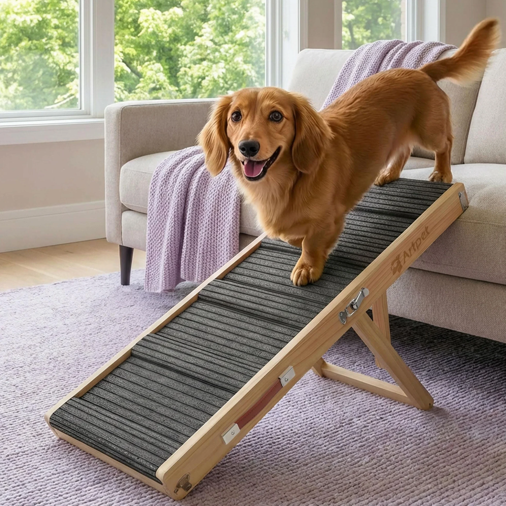 Rampe pliable antidérapante pour chien, hauteur réglable, supporte jusqu'à 15,9 kg