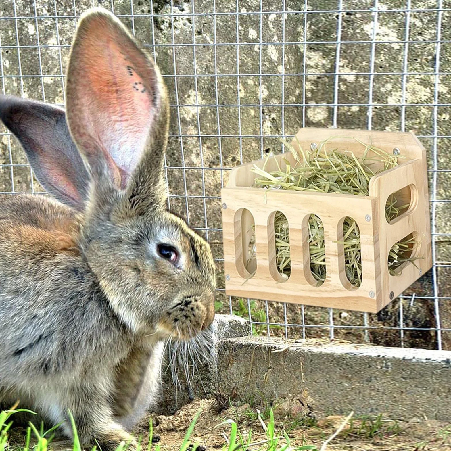 Distributeur de Foin en Bois pour Cochons d'Inde, Lapin et Cobaye - Râtelier à Foin pour Petits Animaux