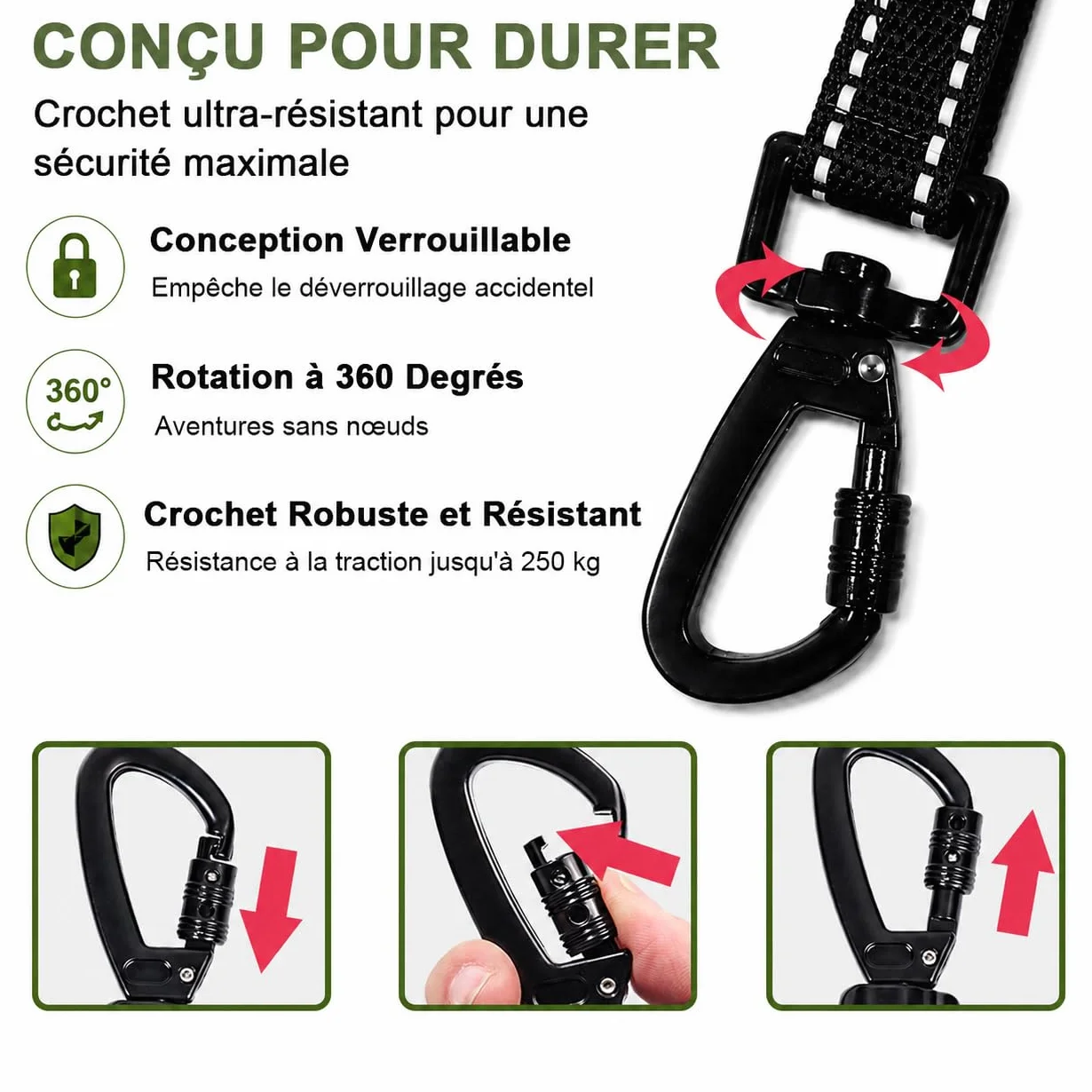 Longe pour Chien Réfléchissante 2M-30M Laisse de Dressage pour Petits Moyens Grands Chiens
