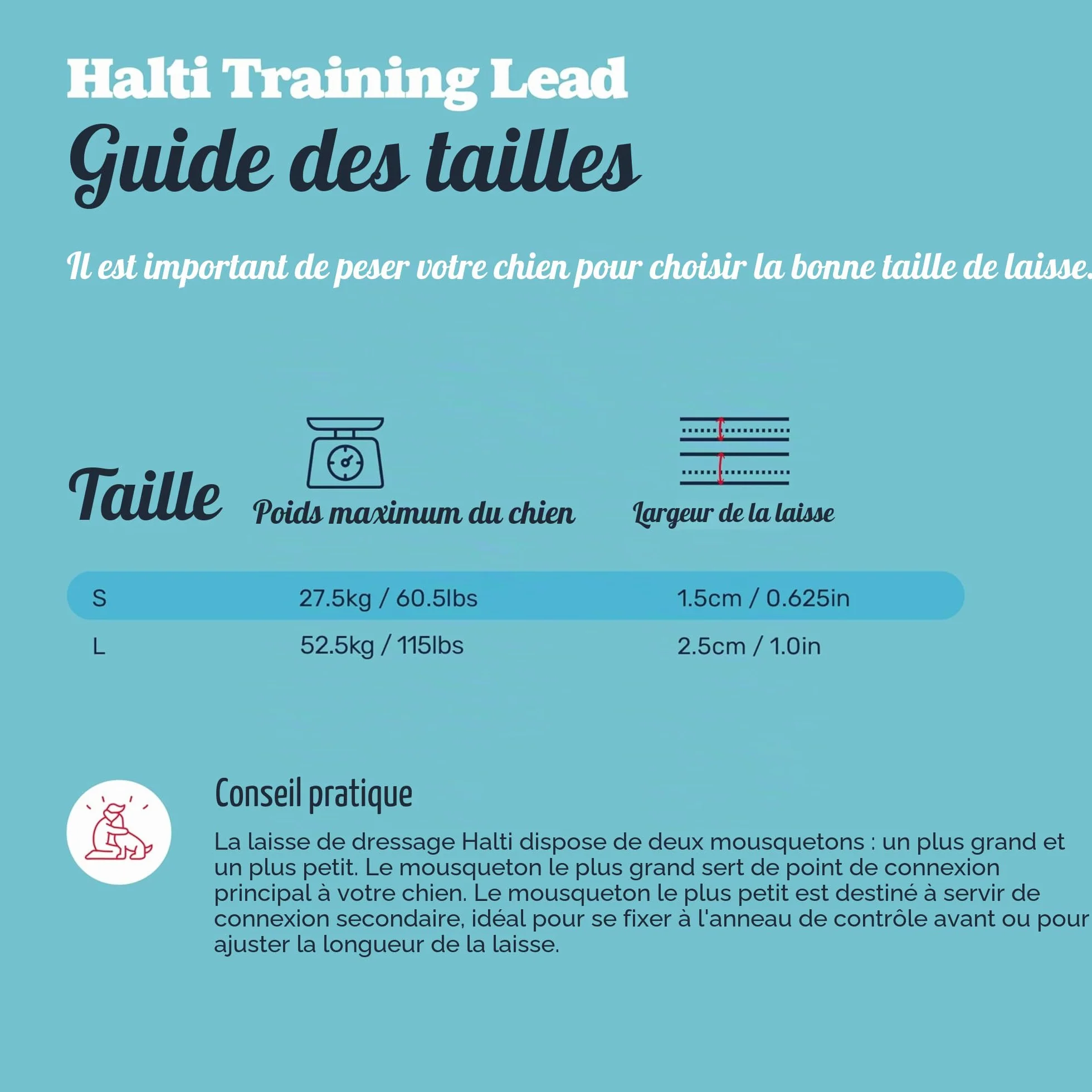 Laisse éducative HALTI - 7 Fonctions Conçues pour Vous Aider a Éduquer et Promener Votre Chien, Laisse de Dressage de Chien à Double Extrémité pour Chiens et Chiots (Taille L, Sable du Désert, 2m)