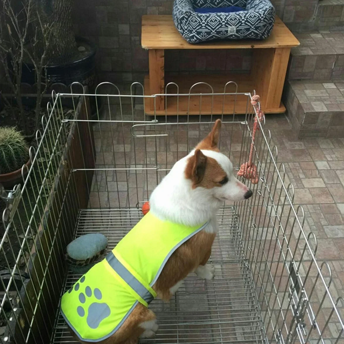 Gilet Réfléchissant pour Chien, Harnais de Sécurité, Veste Haute Visibilité, Taille L