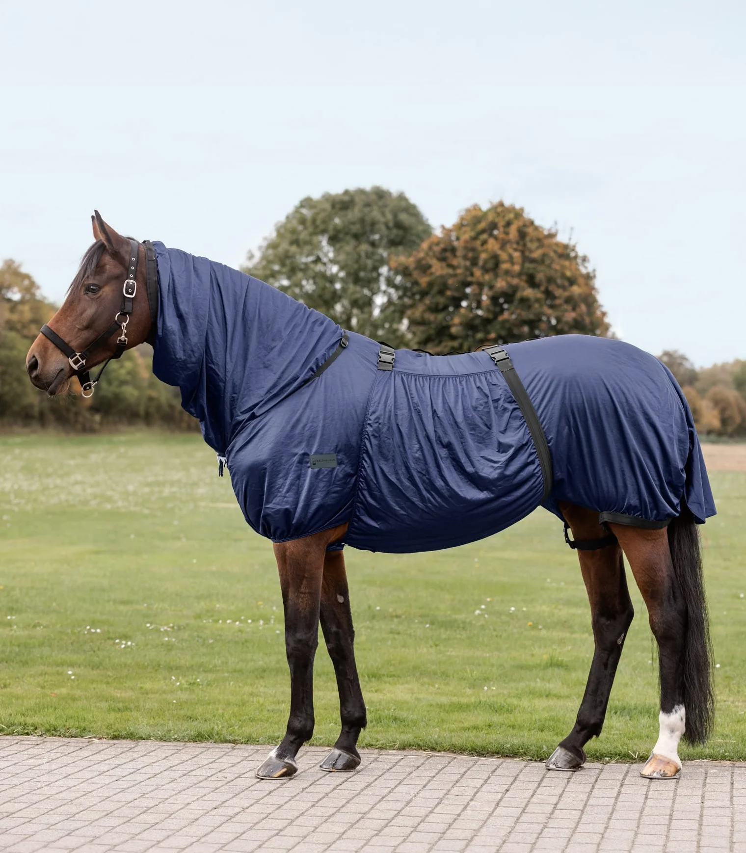 Waldhausen Couverture anti-eczéma Basic Bleu nuit 155 cm