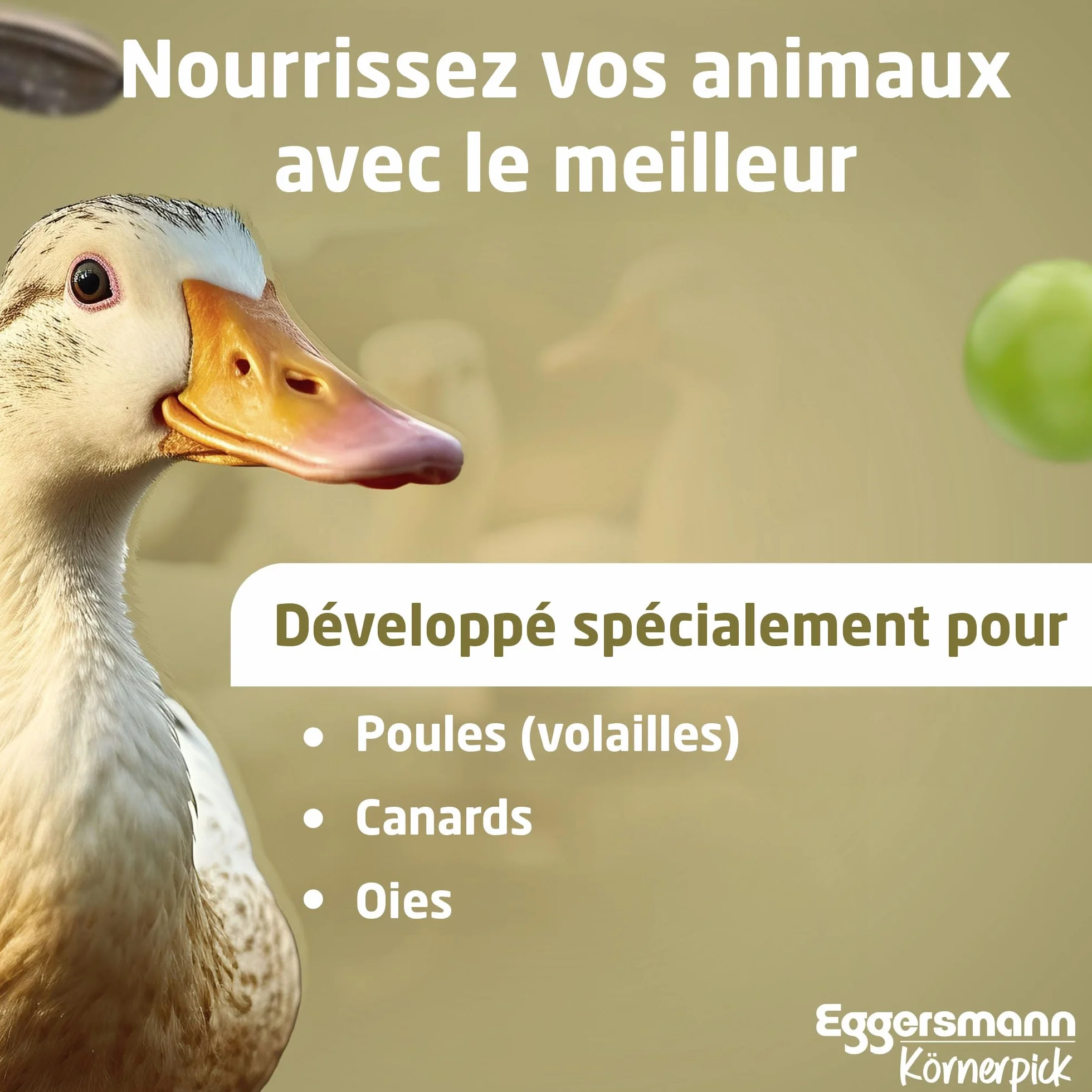 Eggersmann Körnerpick 25kg Premium Nourriture Poule - Aliments pour volailles - Graines Poule