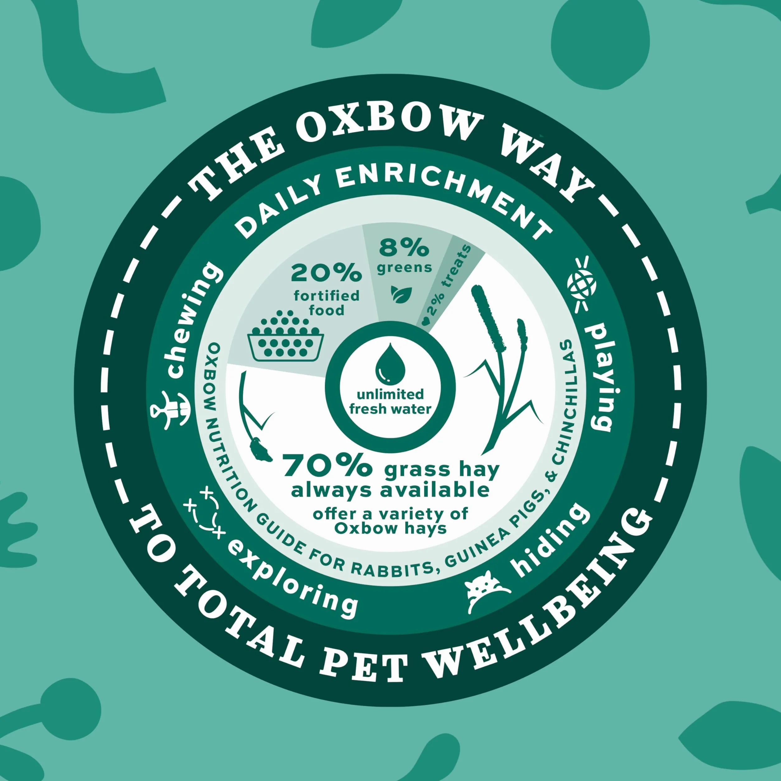 Oxbow Foin Western Timothy 2,55 kg