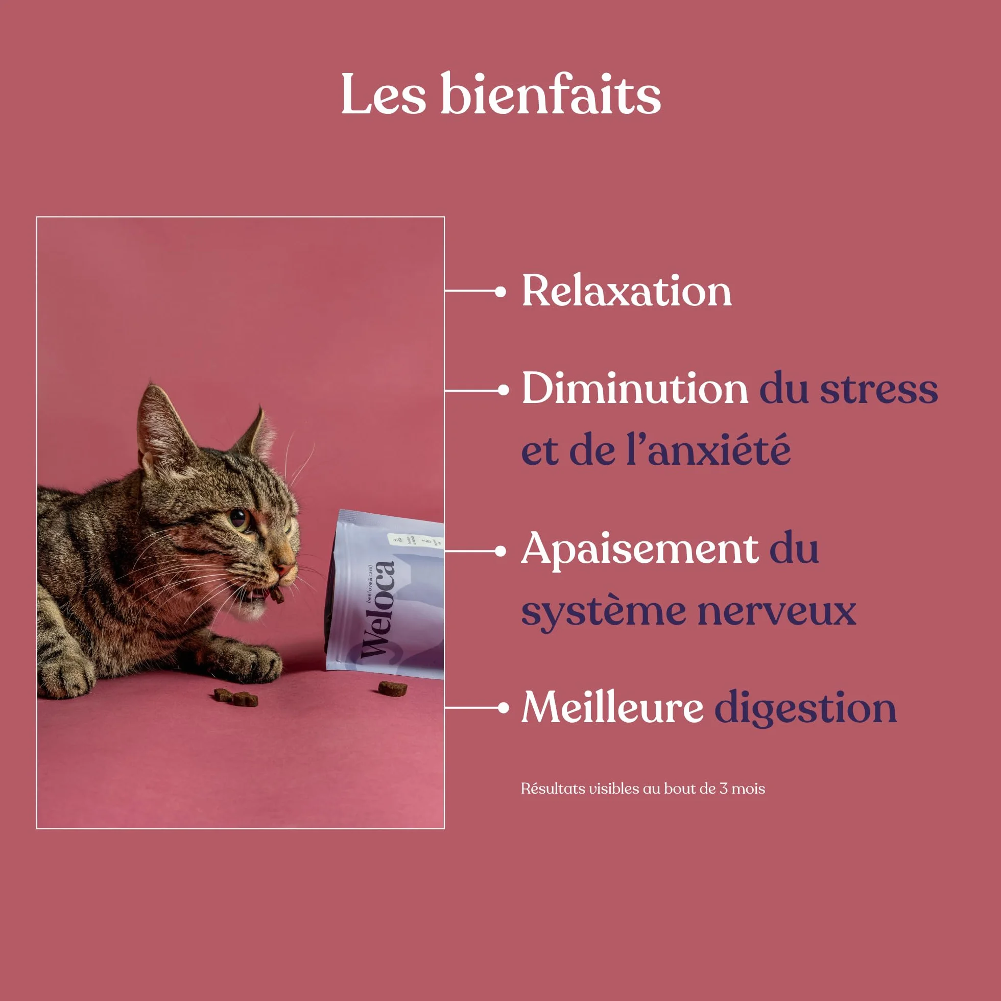 Anti-stress Chat 120 bouchées naturelles apaisant problèmes comportementaux calmant