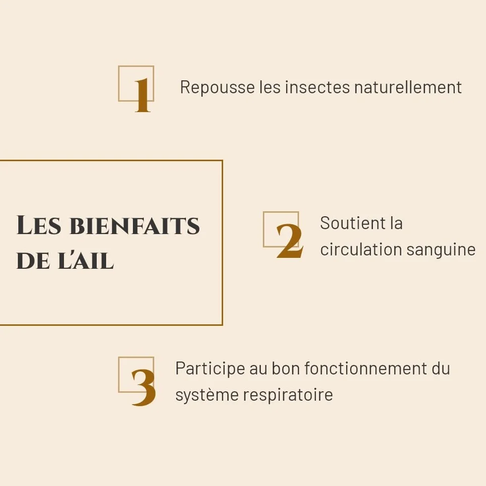 AIL - Complément nutritionnel Cheval - Seau 1 kg - Répulsif Contre Les Insectes - Circulation Sanguine - Soutien de la Respiration - Marque Française