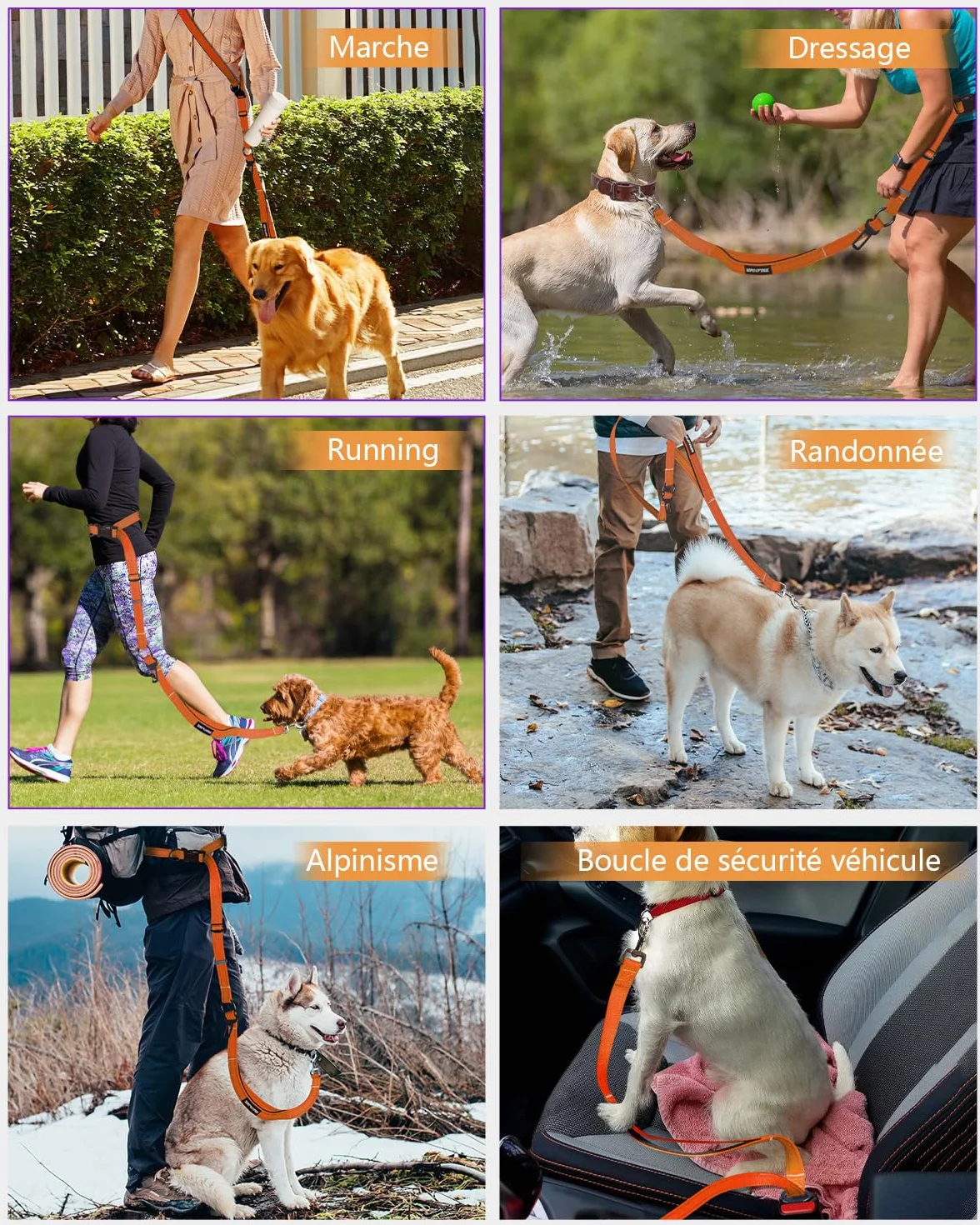 Harnais de Marche Main Libre pour Chien - Laisse Multifonctionnelle Renforcée 2.9m Réglable, Orange