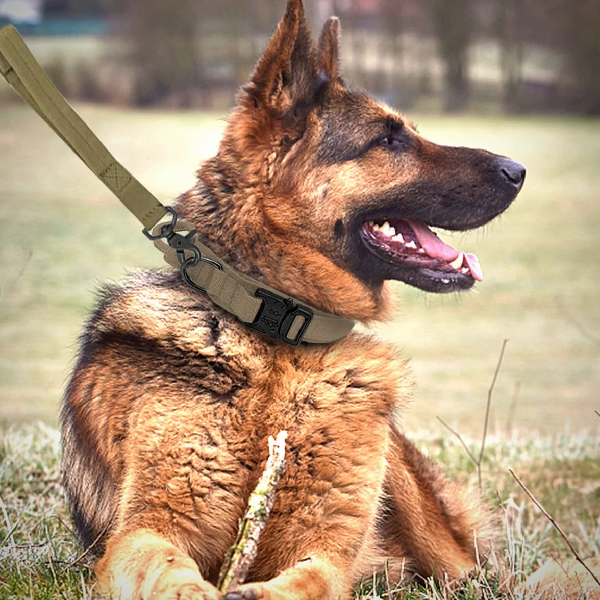 Tactique Collier et Laisse pour Chien réglable Nylon Militaire Boucle Métal Robuste Laisse élastique Dressage Taille XL Kaki
