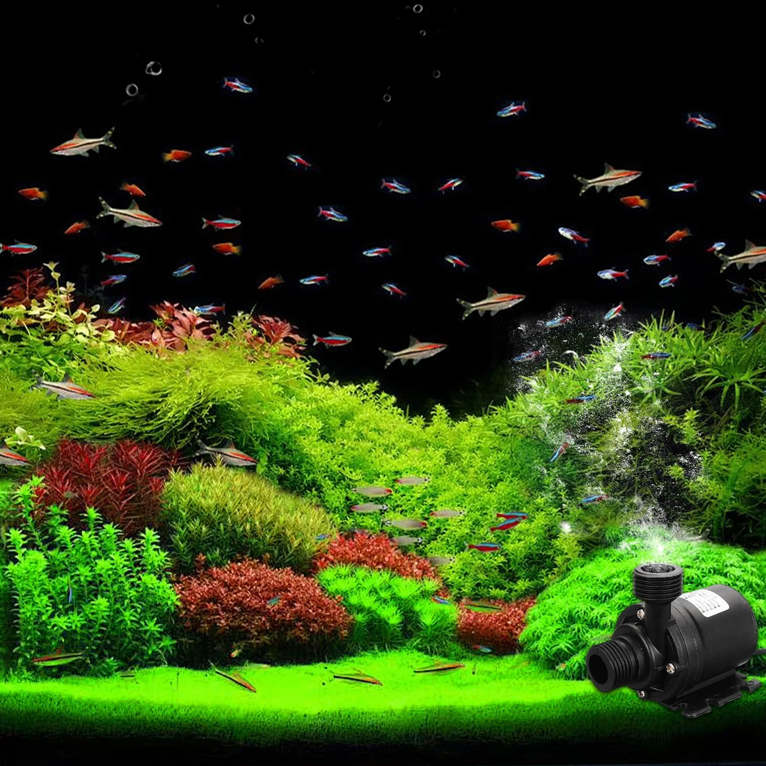 Pompe à Eau Submersible 12V 800l/h 5m Moteur Sans Balais pour Aquarium Bassin Fontaine
