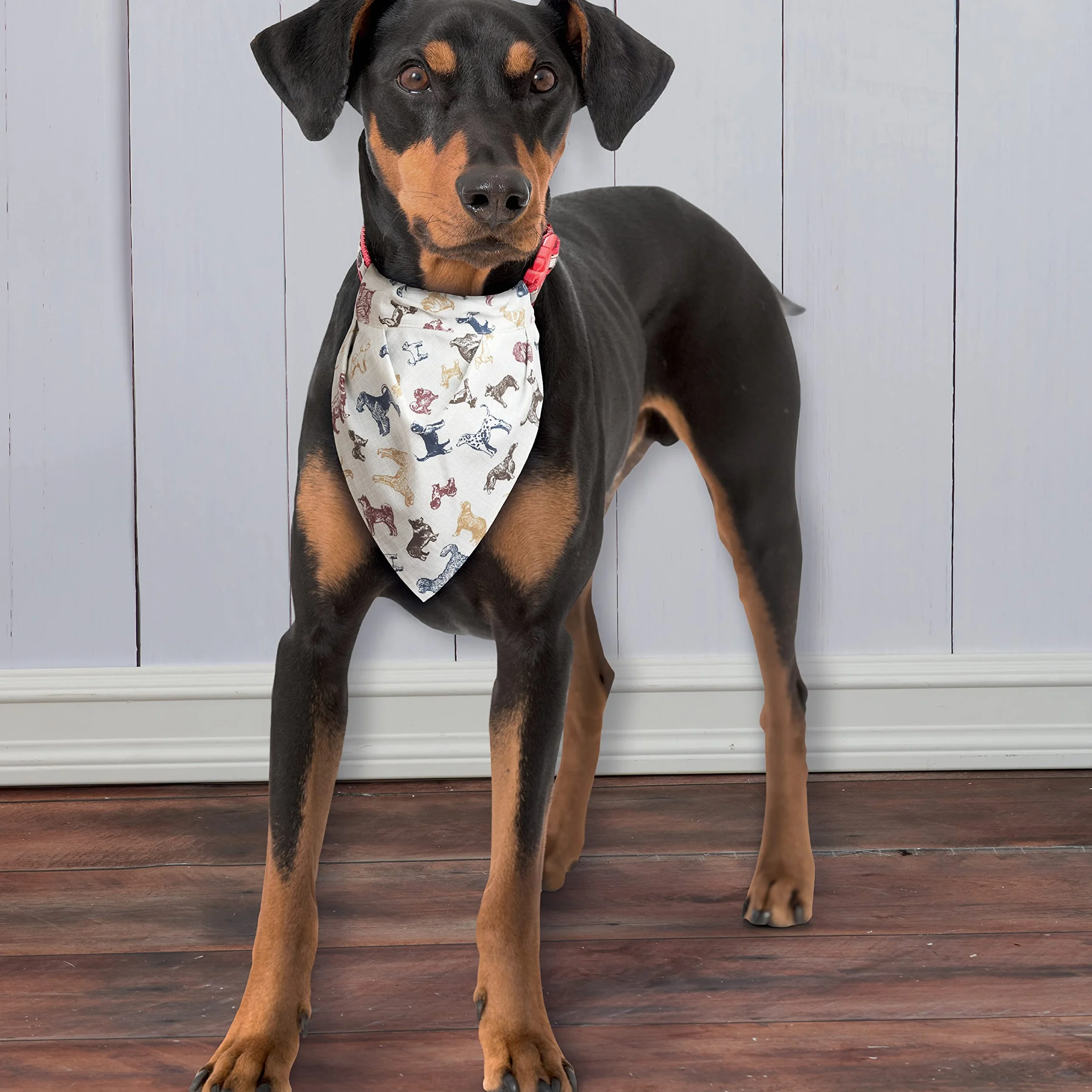 Simplicity Patron de couture S9446 Housses de cage pour animaux de compagnie blanc OSFA
