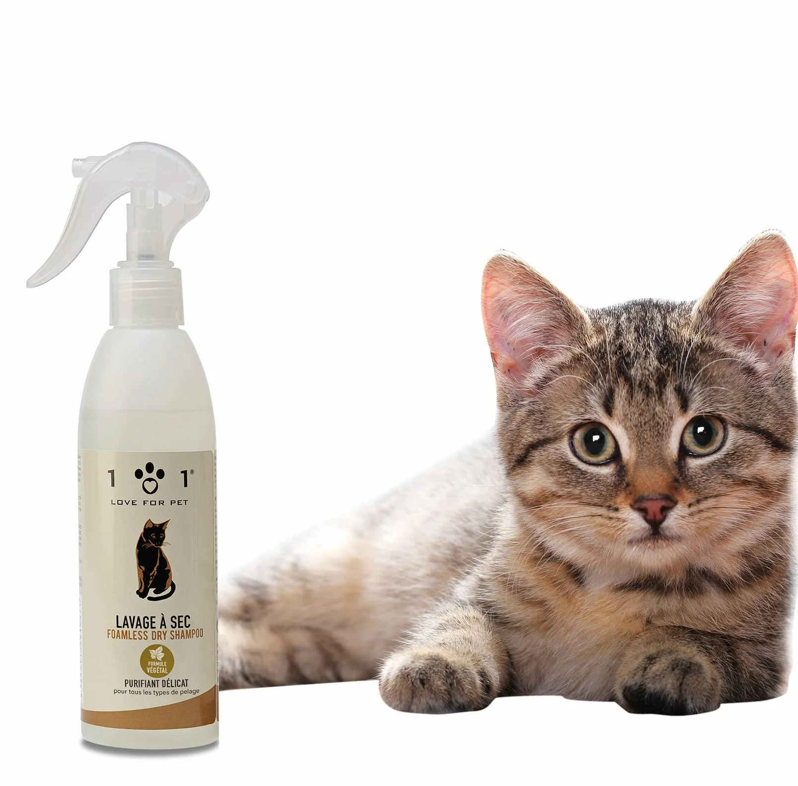 Shampoing Sec Chat Naturel Linea 101 250 ML Sans Rinçage Toilettage Rapide Pelage Propre Parfum Doux Made in Italy