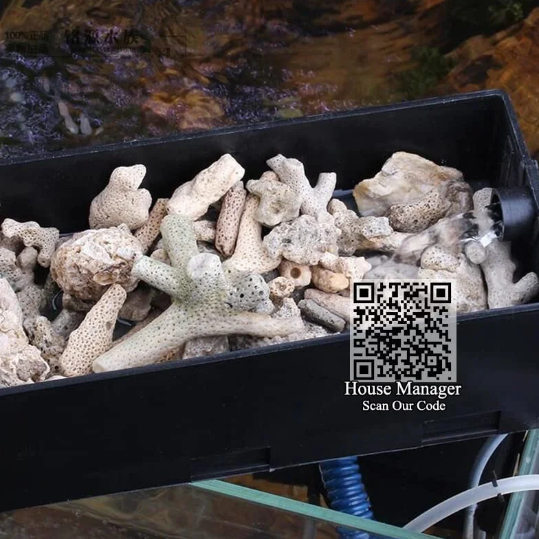 Filtre en os de corail naturel pour aquarium 200 g Matériau biologique moyen Sable de corail pH stable