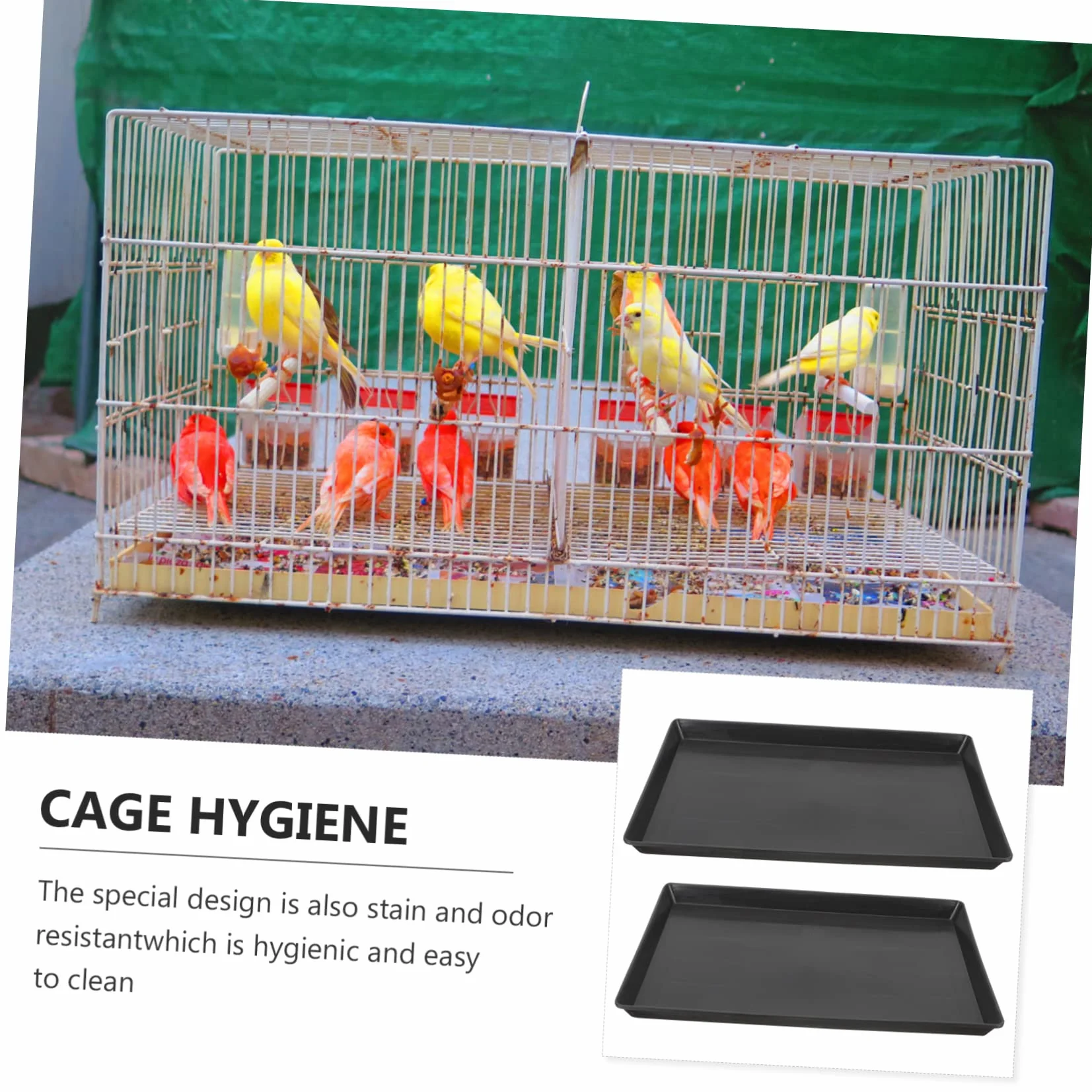 Garneck Plateau De Cage pour Oiseaux Et Chiens Remplacement du Fond Bac Nettoyage