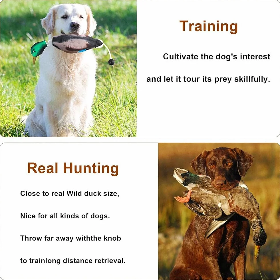 Pare-chocs canard imitation jouet d'entraînement pour chiots et chiens de chasse