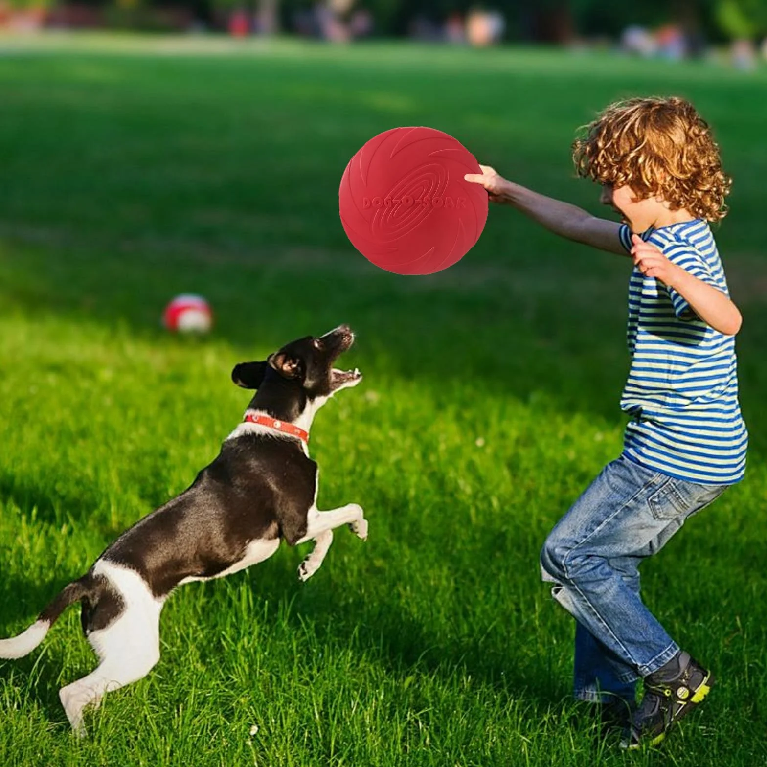 Freesbee pour Chien 18 Cm Caoutchouc Naturel Lot De 2 Frisbee Dressage (Rouge Et Vert)