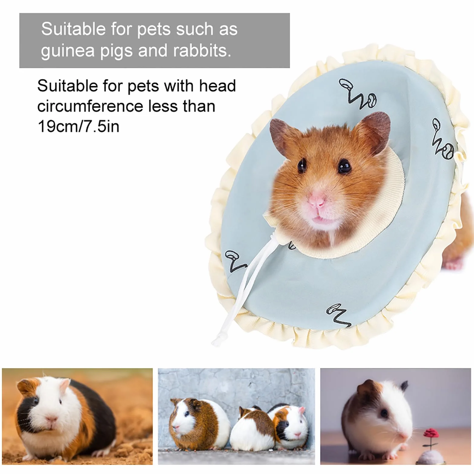 Elizabeth Circle Collier de Protection pour Lapin Cochon d'Inde, Collier de Récupération Réglable pour éviter L'aggravation des Blessures, adapté aux Petits Animaux de Compagnie, en