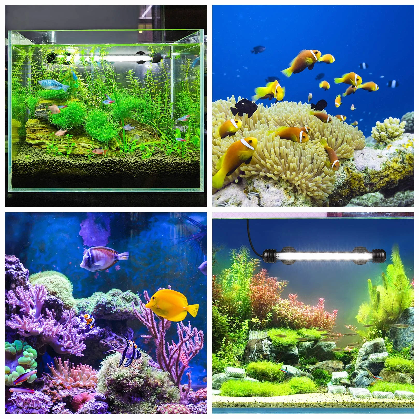Lampe d'aquarium LED Submersible avec Minuterie Automatique, Éclairage Bleu et Blanc Changeant de Couleur 20-40cm