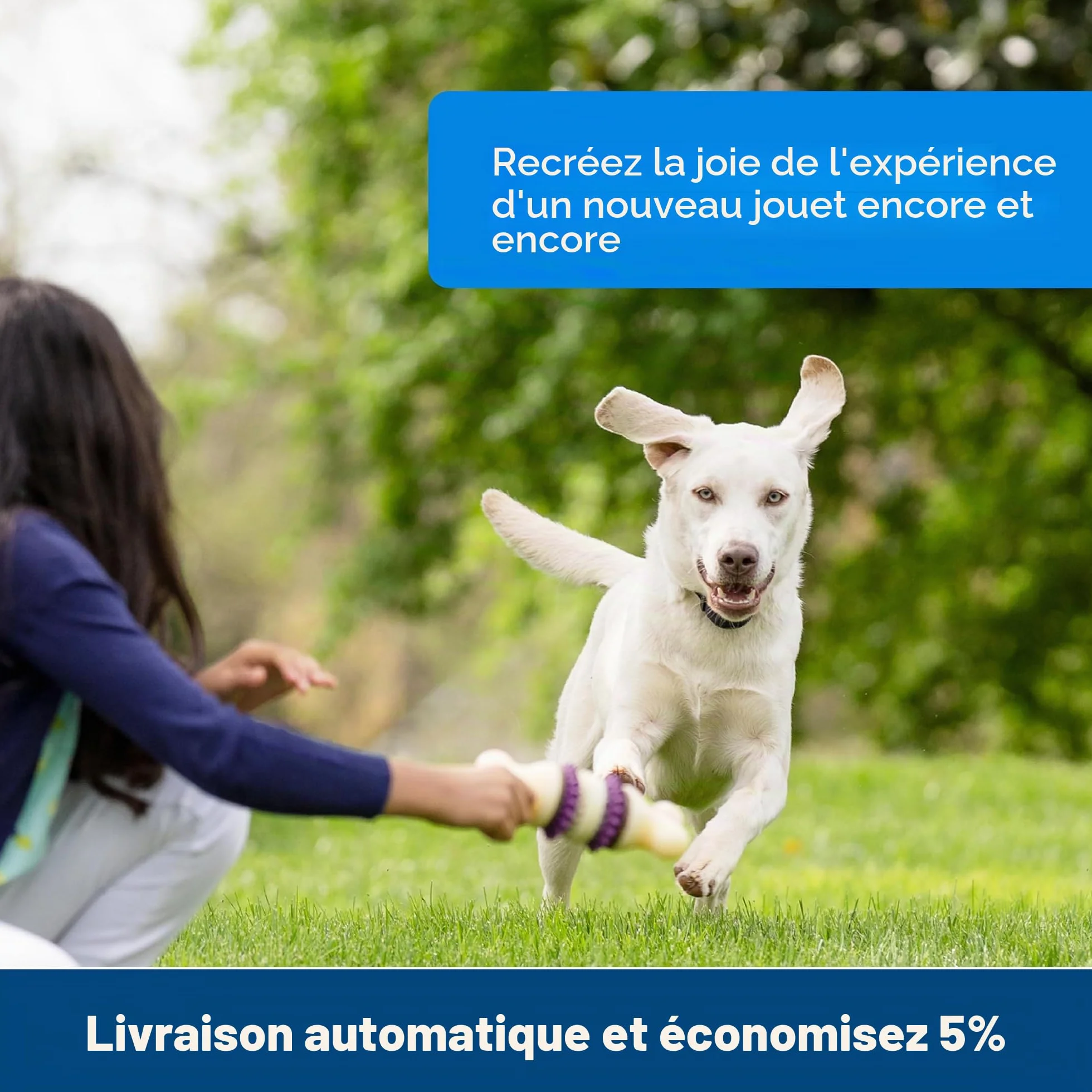 PetSafe Anneaux Friandises Peau Bœuf Jouet Busy Buddy Chien 16 Pièces Taille B