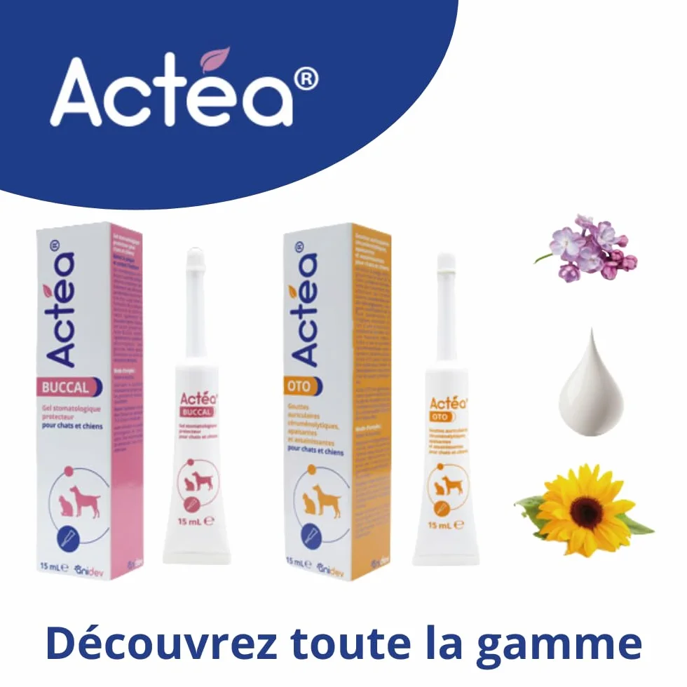 Anidev Actéa Buccal Gel apaisant gencives Chien Chat Hygiène bucco Dentaire 15 ML