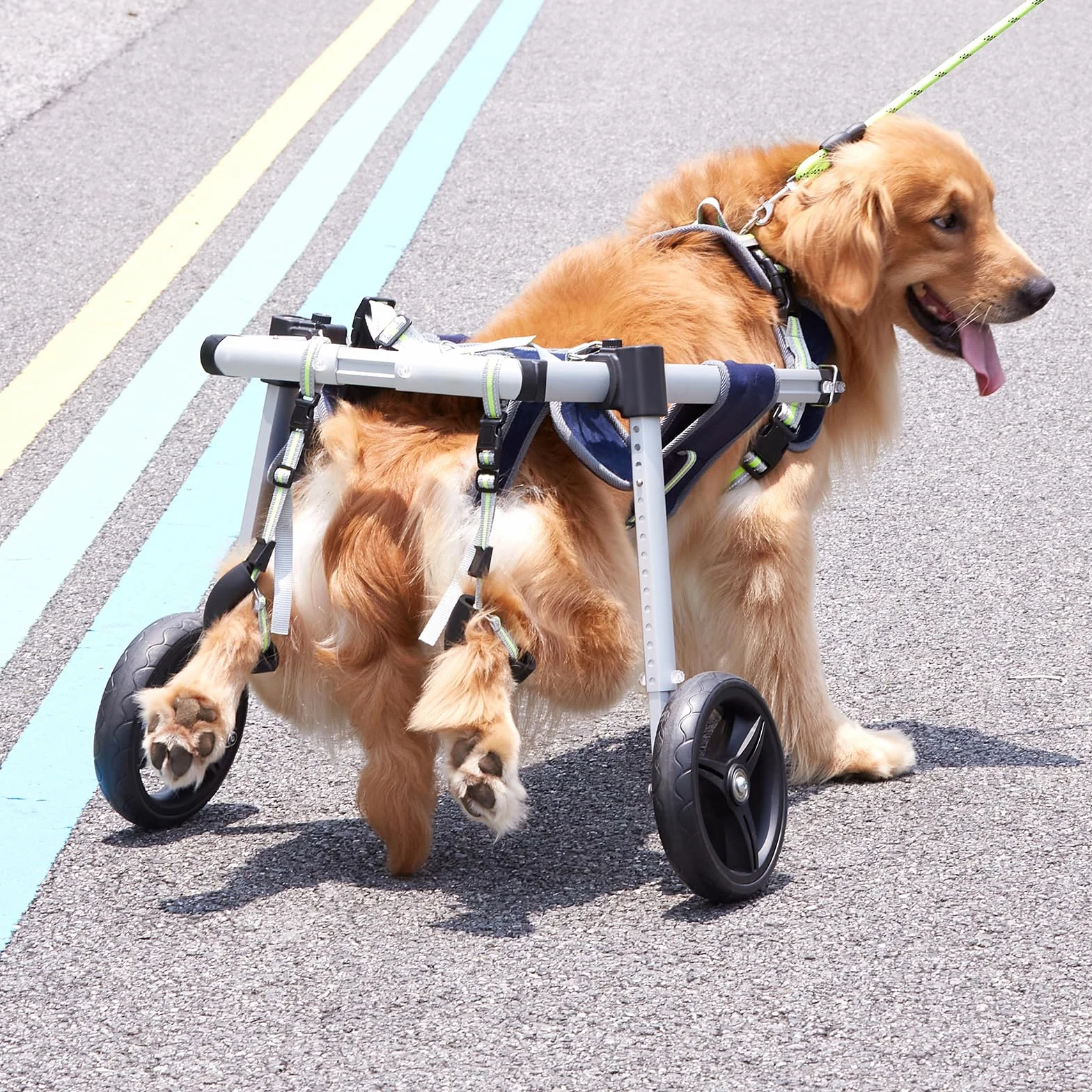 VEVOR Fauteuil roulant pour chien 2 roues arrières, fauteuil roulant animaux réglable pour guérison membres postérieurs