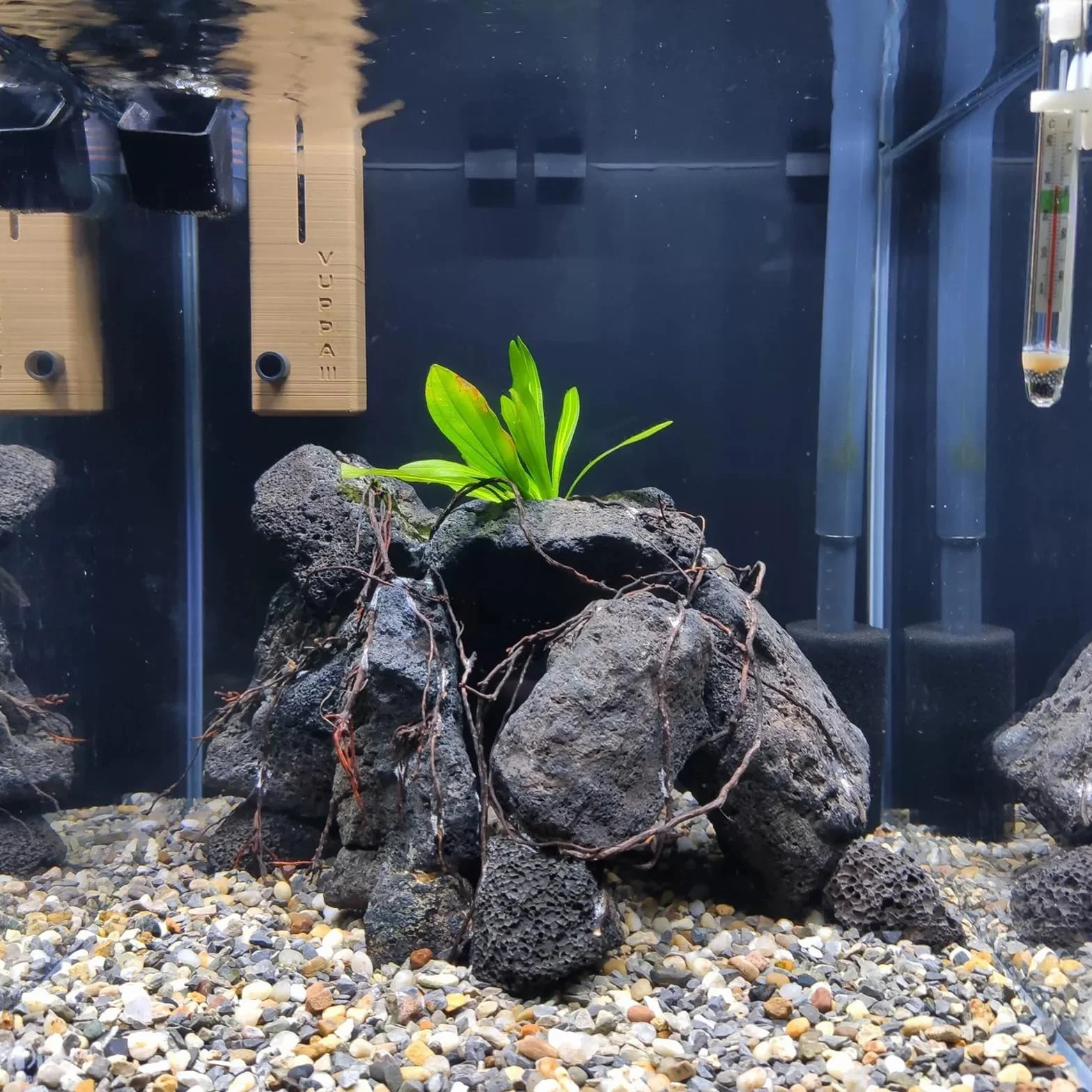 Roches de Lave Noires 4,5kg Pierres Volcaniques Naturelles pour Aquarium Bassin 6-8 pièces 10-18cm