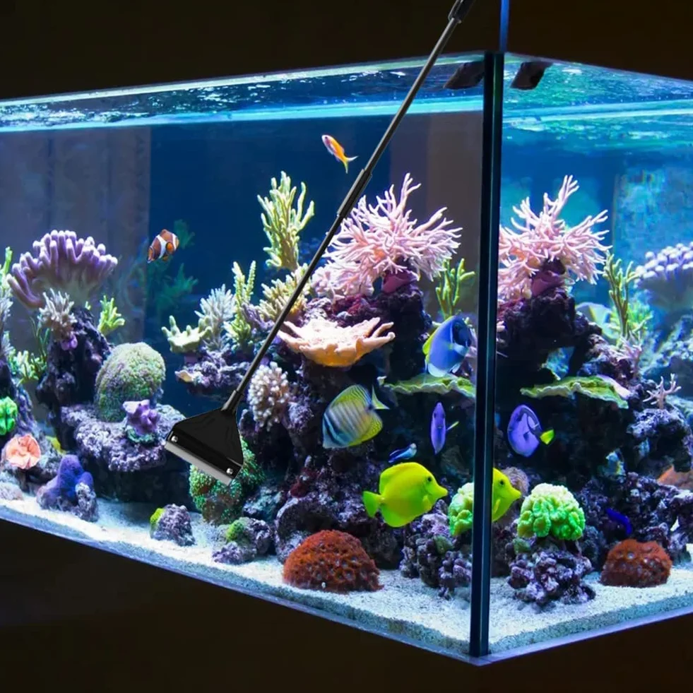 Grattoir Algues Aquarium 62 cm avec 10 Lames de Rechange