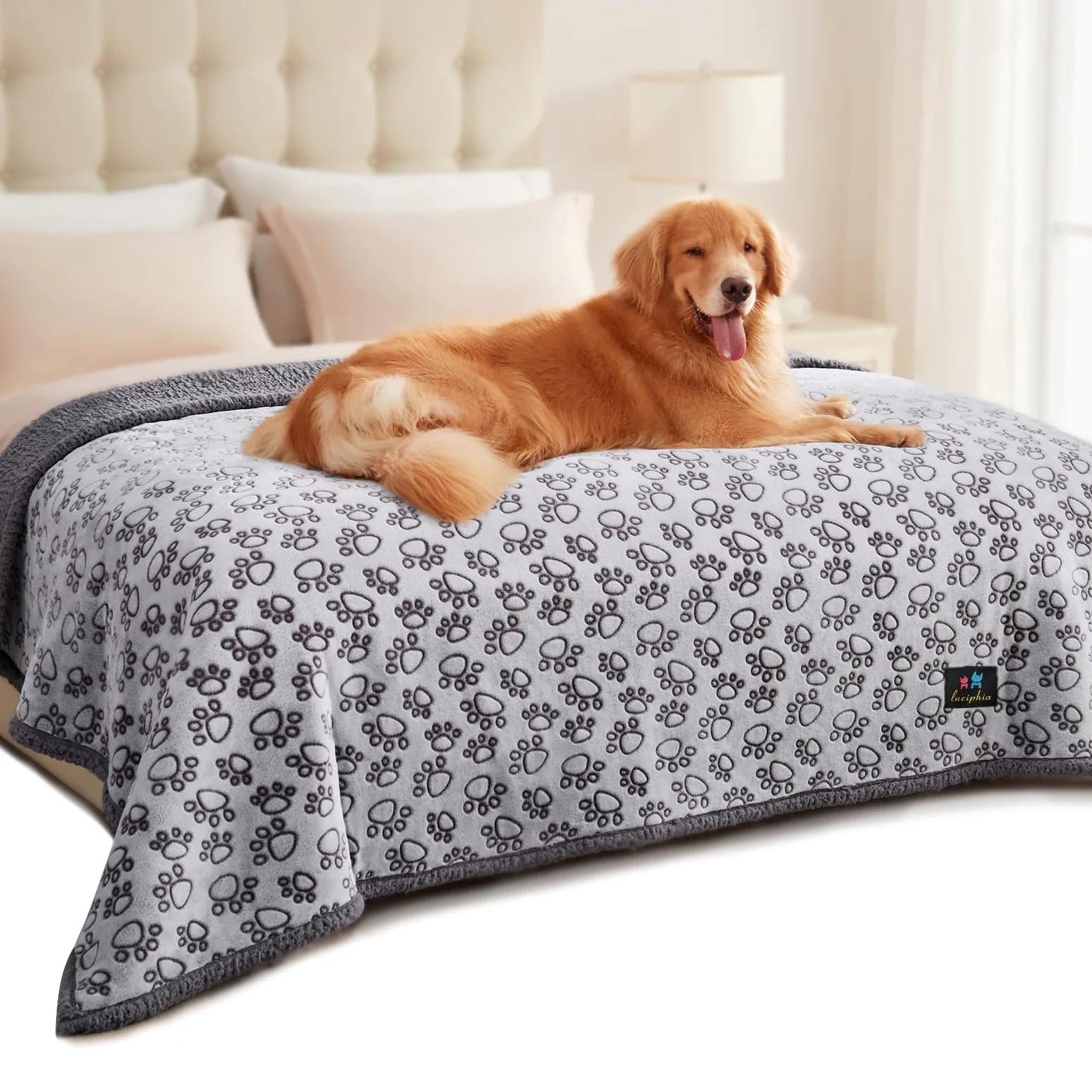 Luciphia Couverture imperméable pour animal de compagnie – Couverture anti-pipi liquide pour chien et canapé – Housse de protection réversible en polaire Sherpa pour chiens et chats de taille moyenne